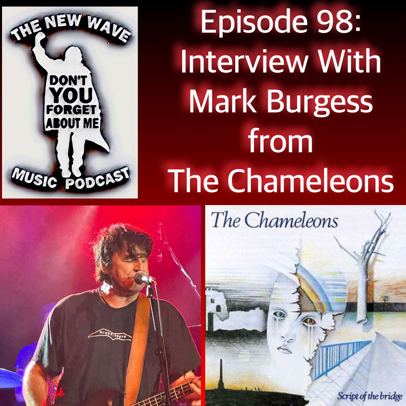 The New Wave Music Podcast - Interview: Mark Burgess from The Chameleons