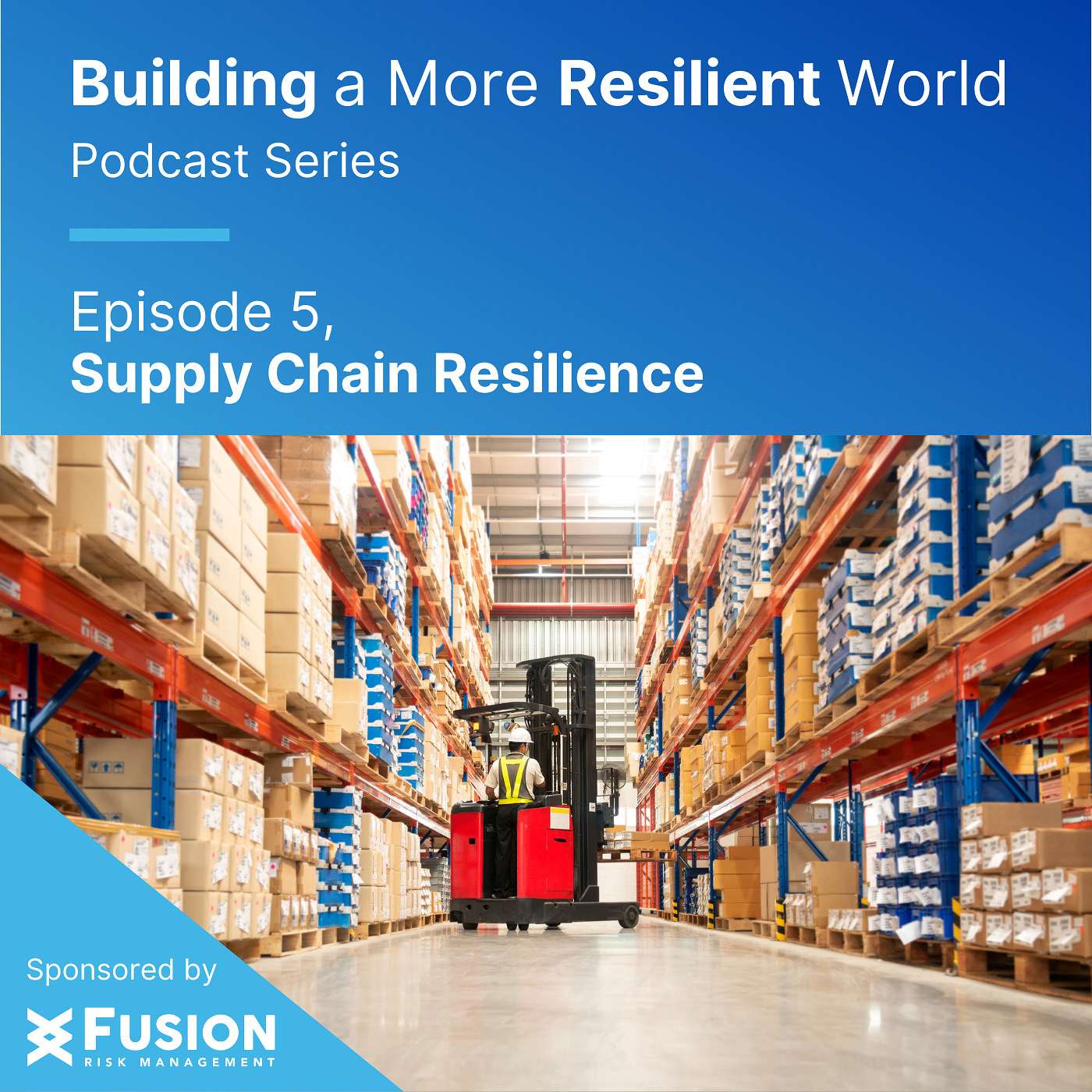 Supply Chain Resilience