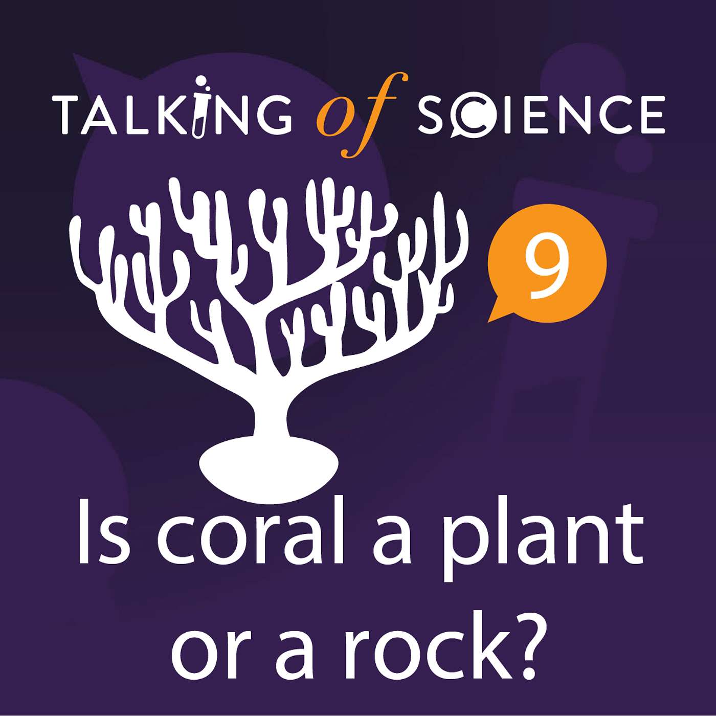 Is coral a plant or a rock?