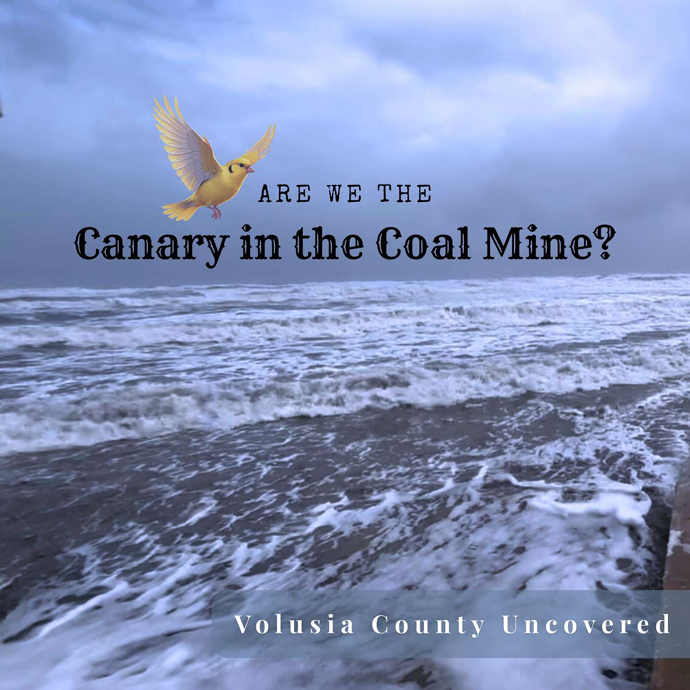 Are We the Canary in the Coal Mine?