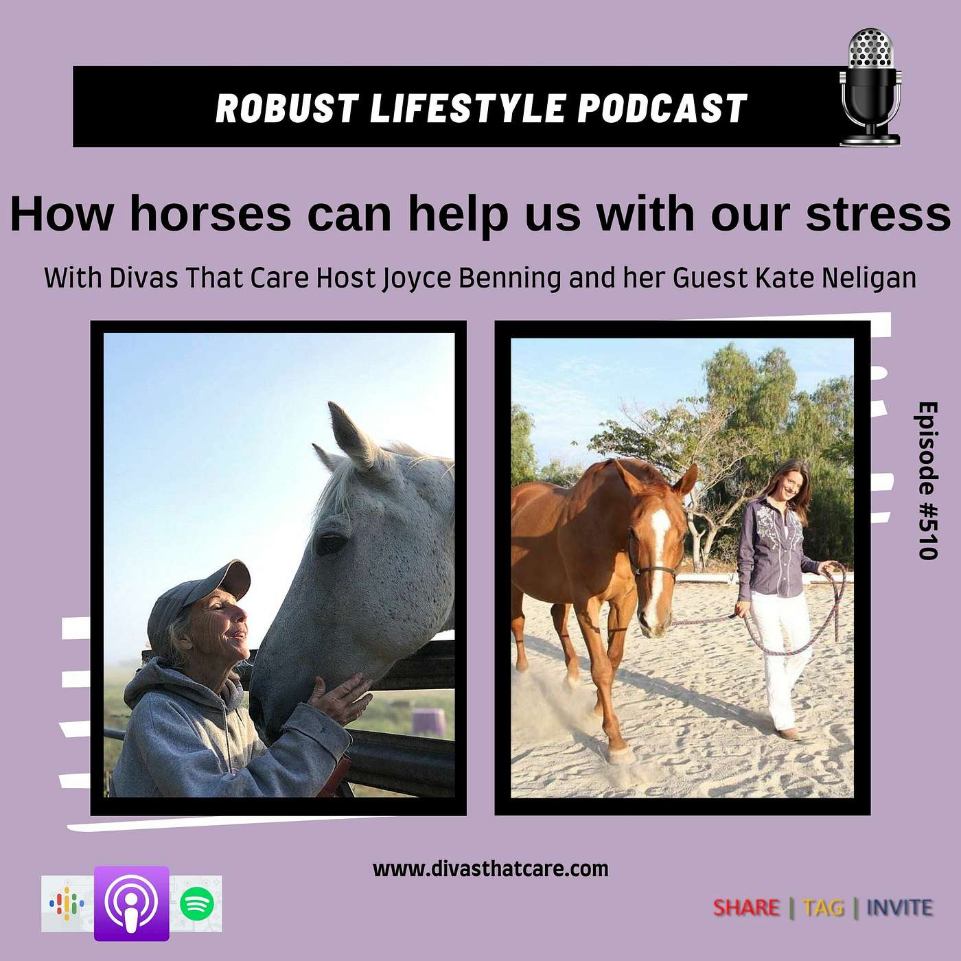 How Horses can Help us with our Stress episode artwork