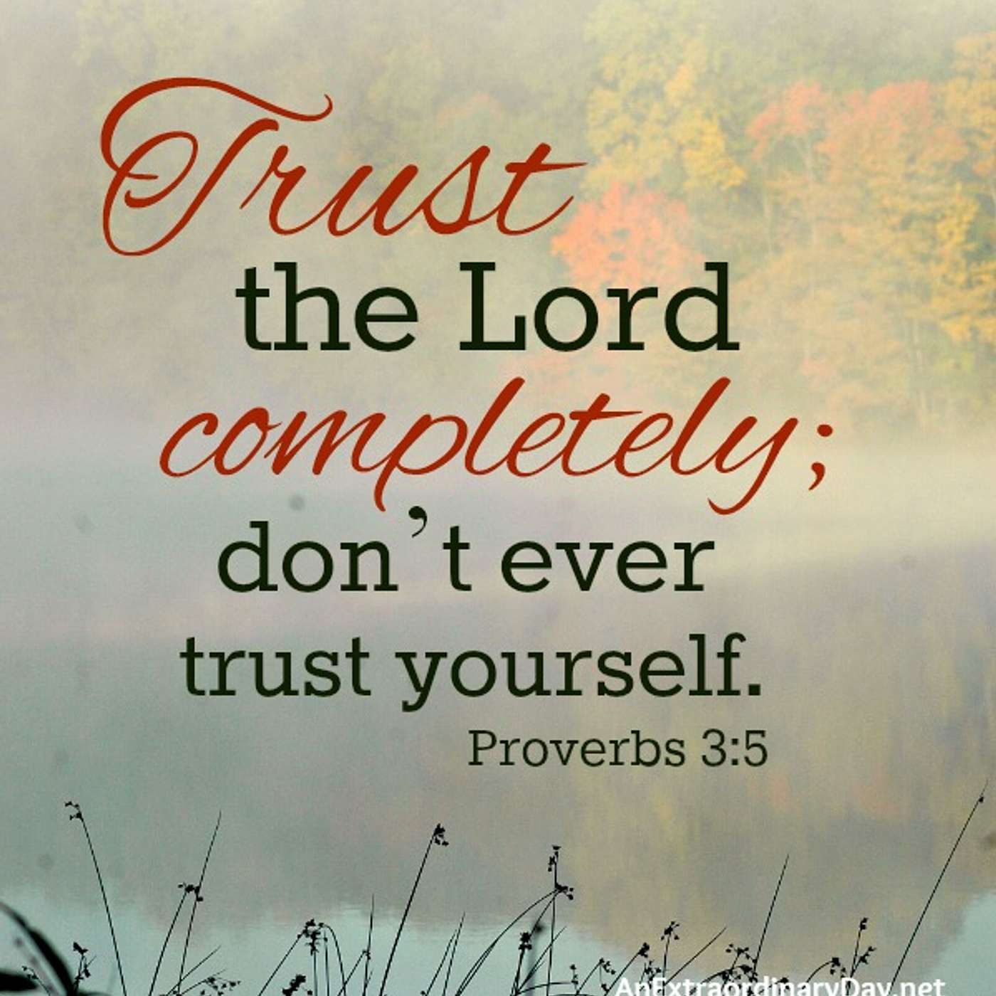 Plainfield Ponderings - Scripture Meditations