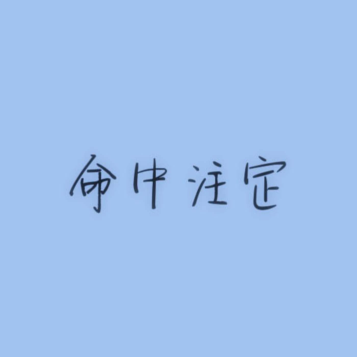 命中注定 episode artwork