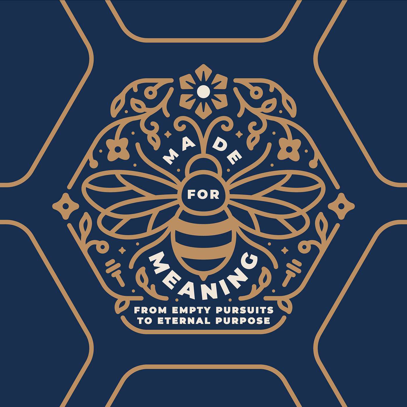 The Deception of Wealth | Made For Meaning | Week 3