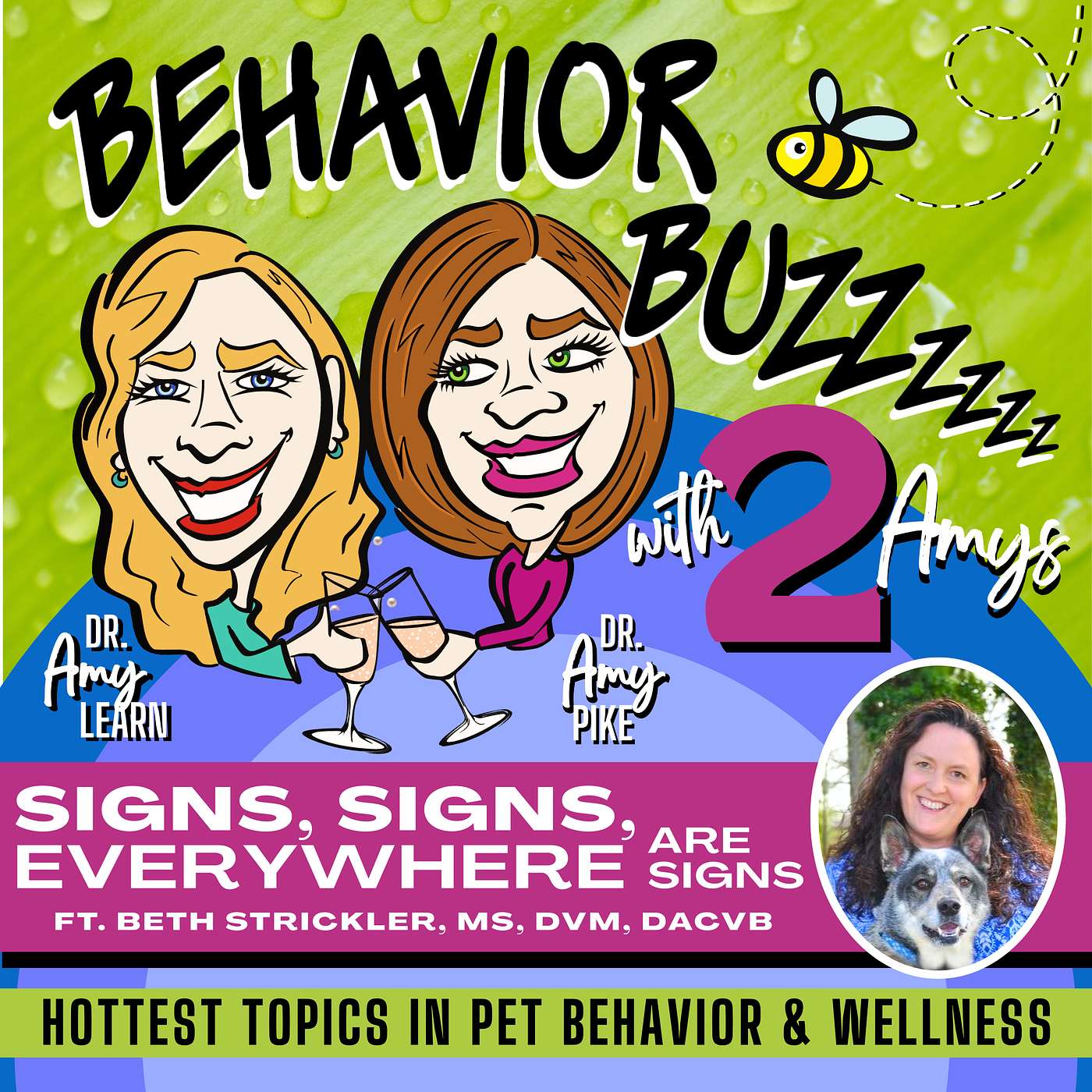 Signs, Sign, Everywhere are Signs