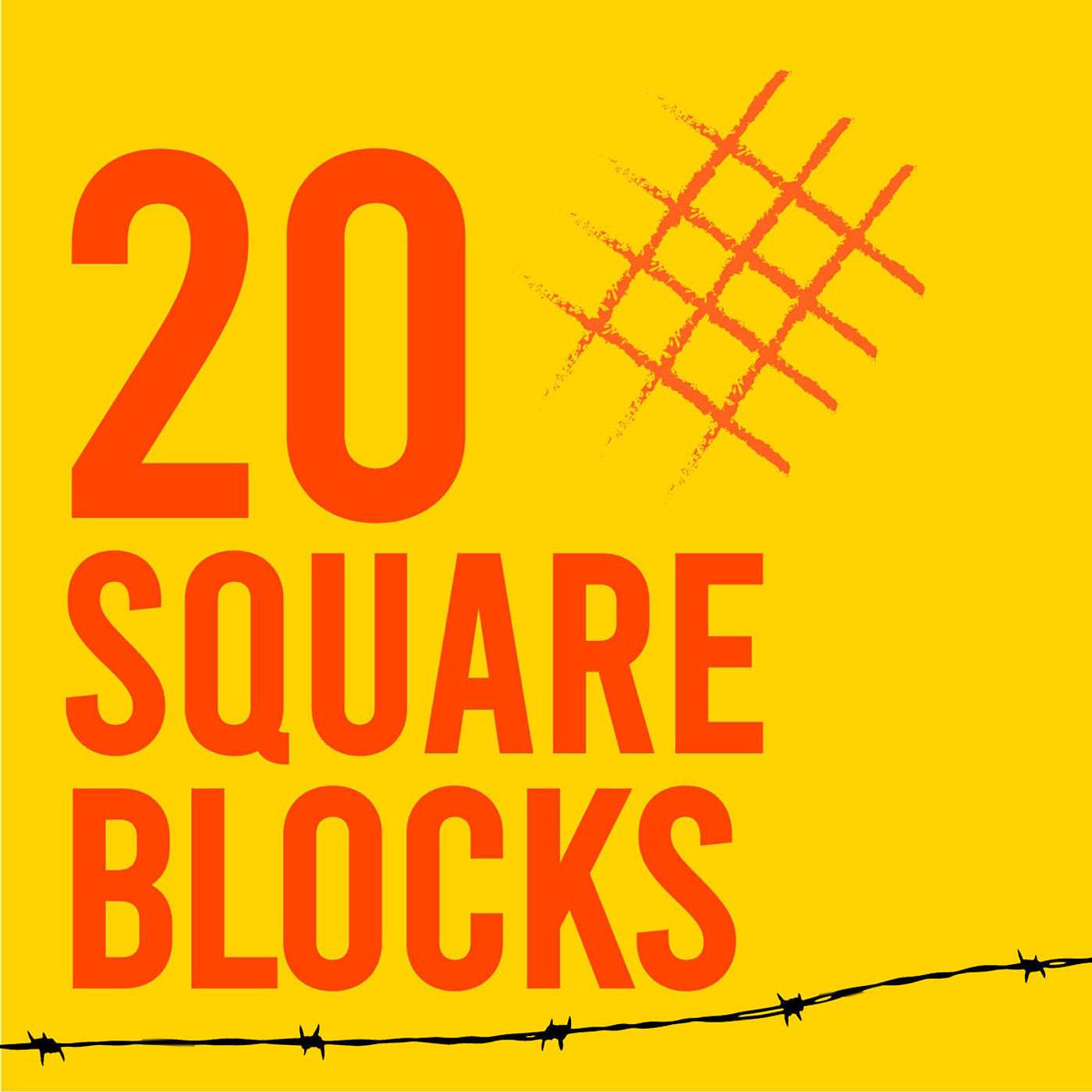 20 Square Blocks