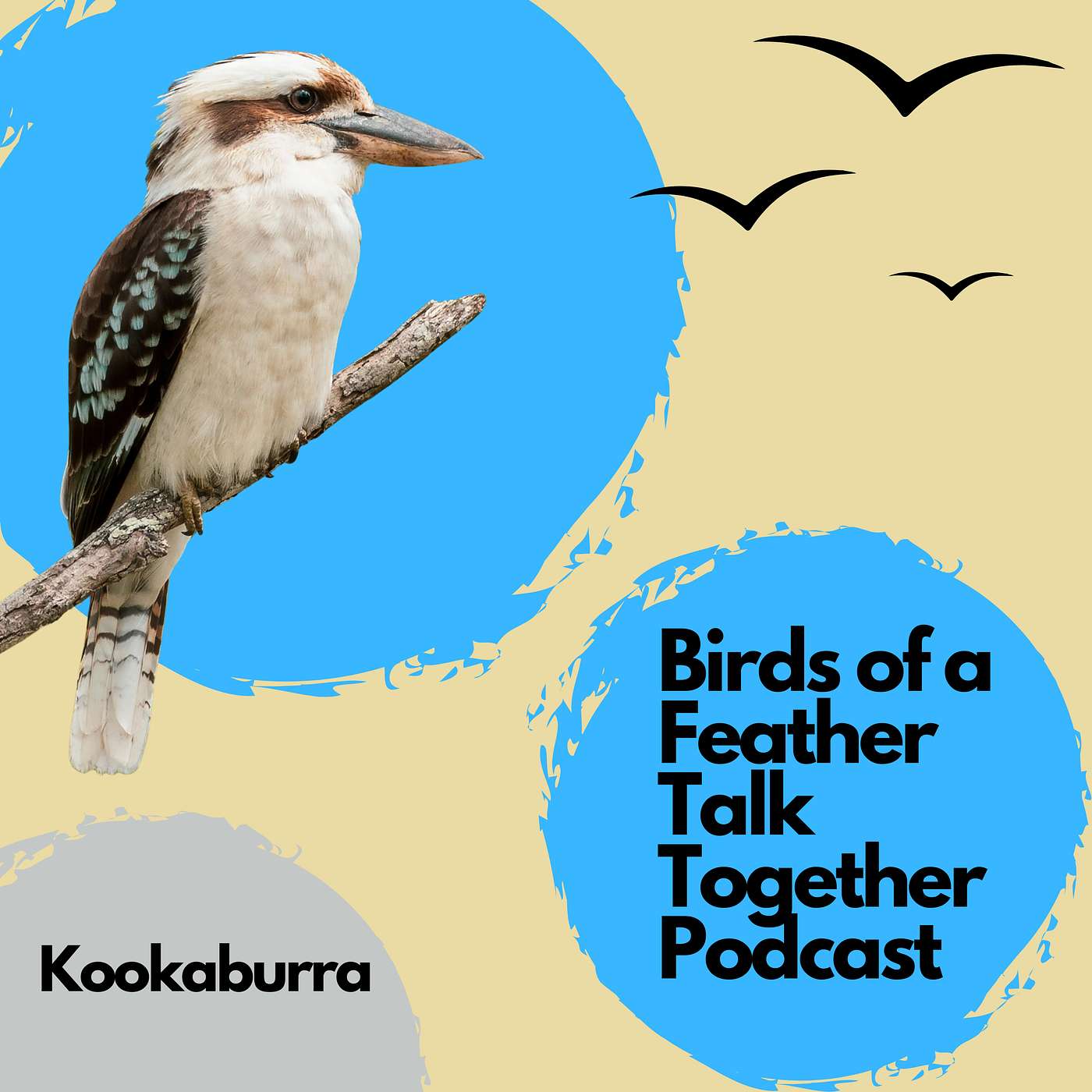 Birds of a Feather Talk Together