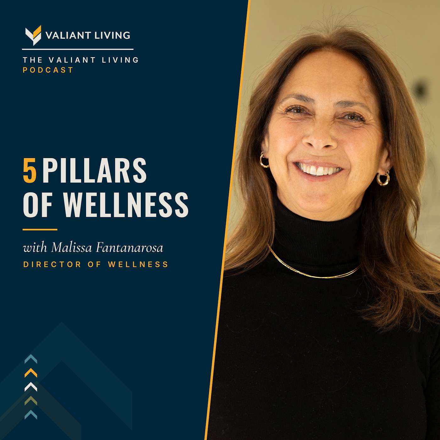 Five Pillars Of Wellness for Addiction Recovery episode artwork