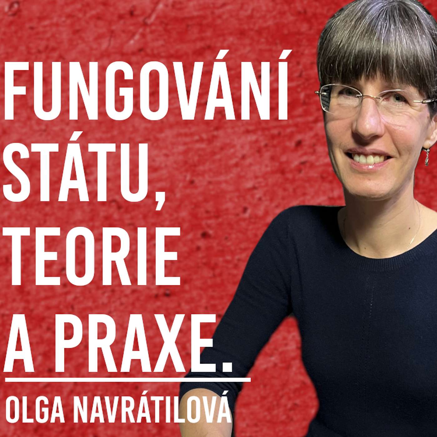 Olga Navrátilová: Filosofie, Stát, Právo, Vůle #35