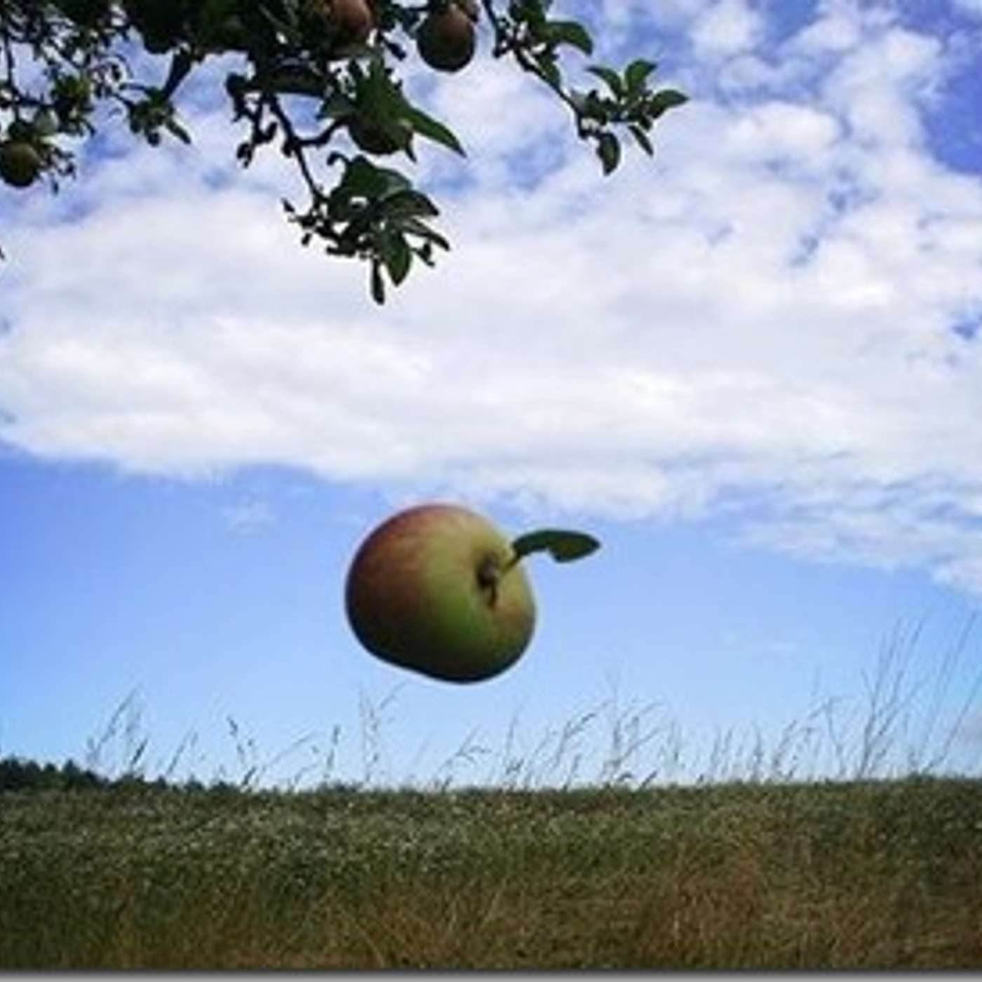Episode 745 - When an Apple Falls from a Tree...