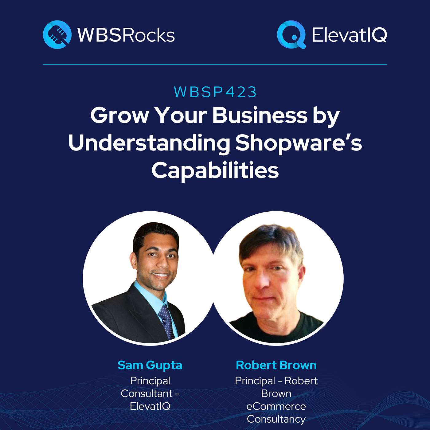 WBSRocks: Business Growth with Enterprise Software and Digital Transformation