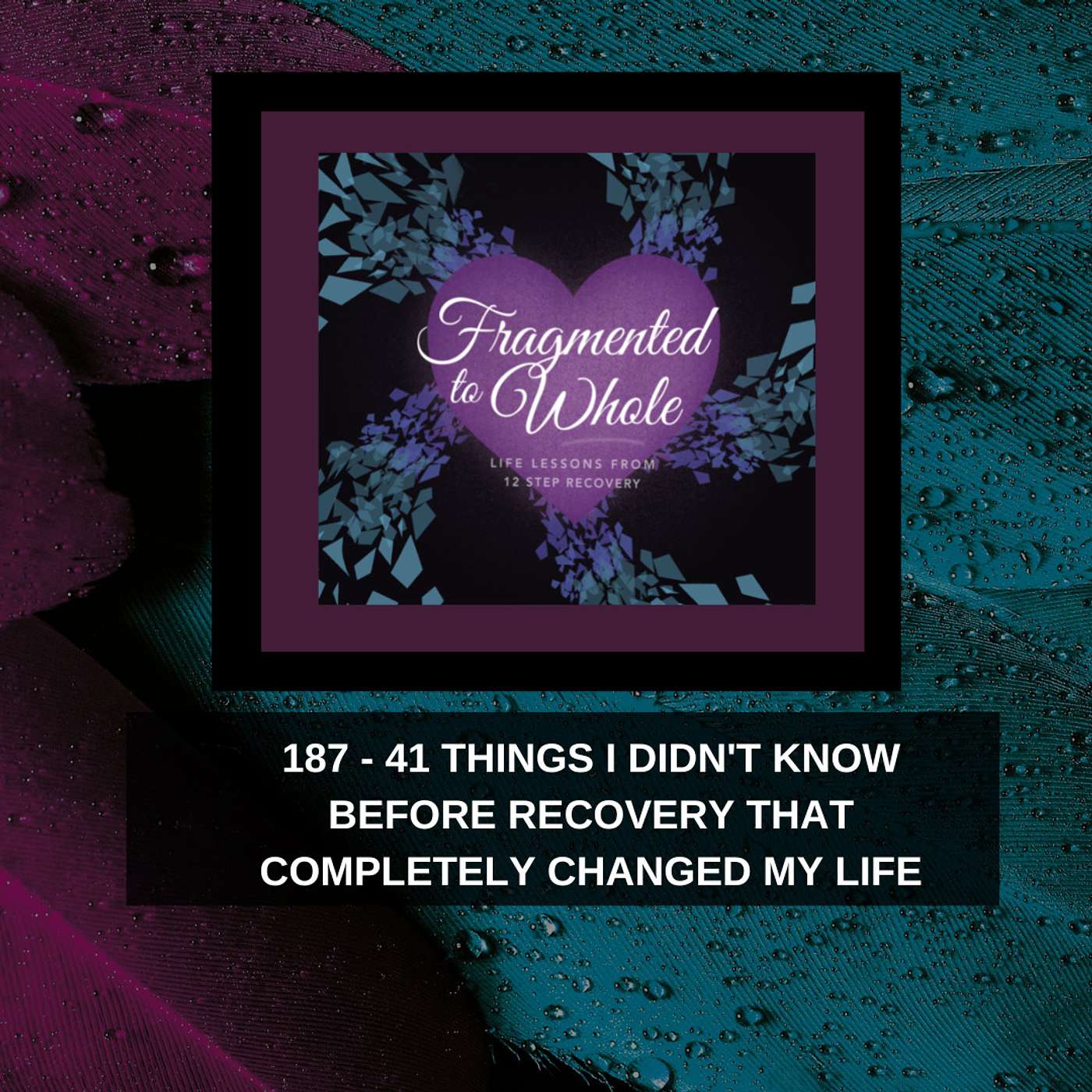 Fragmented to Whole: Life Lessons from 12 Step Recovery