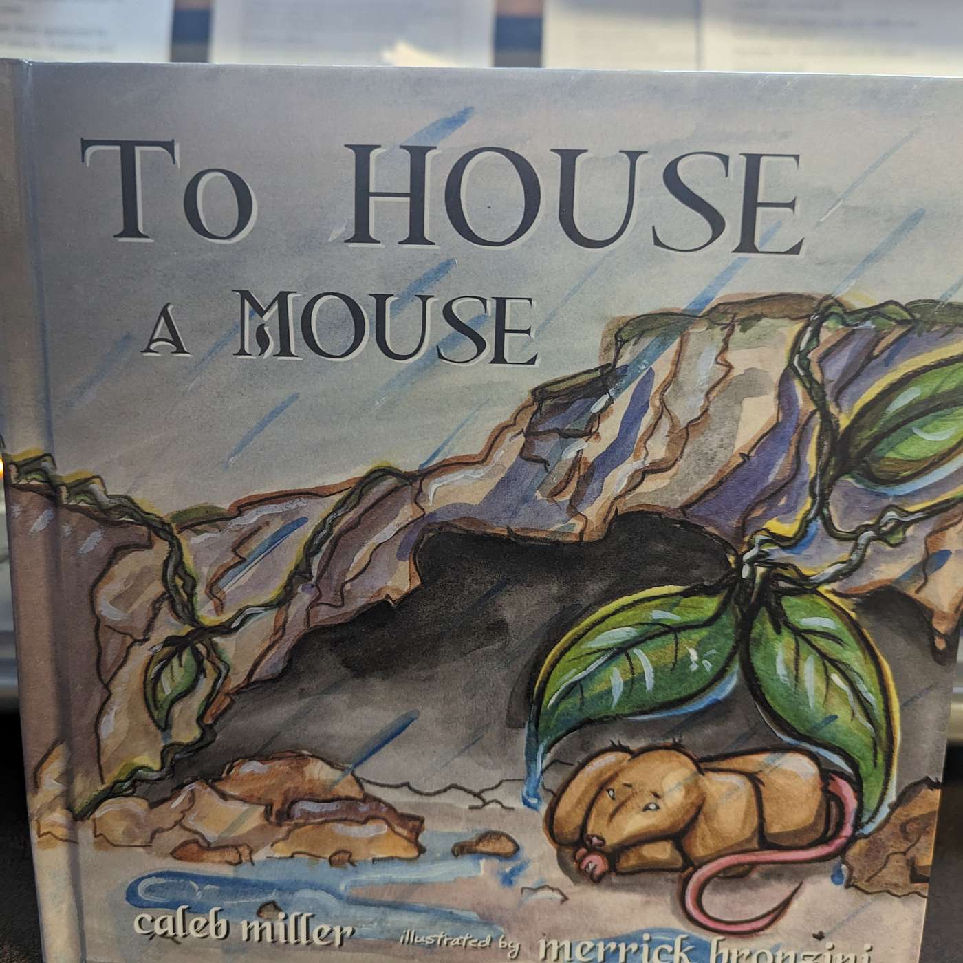 Local Writer/Illustrator Duo Teams Up For New Children's Book episode artwork