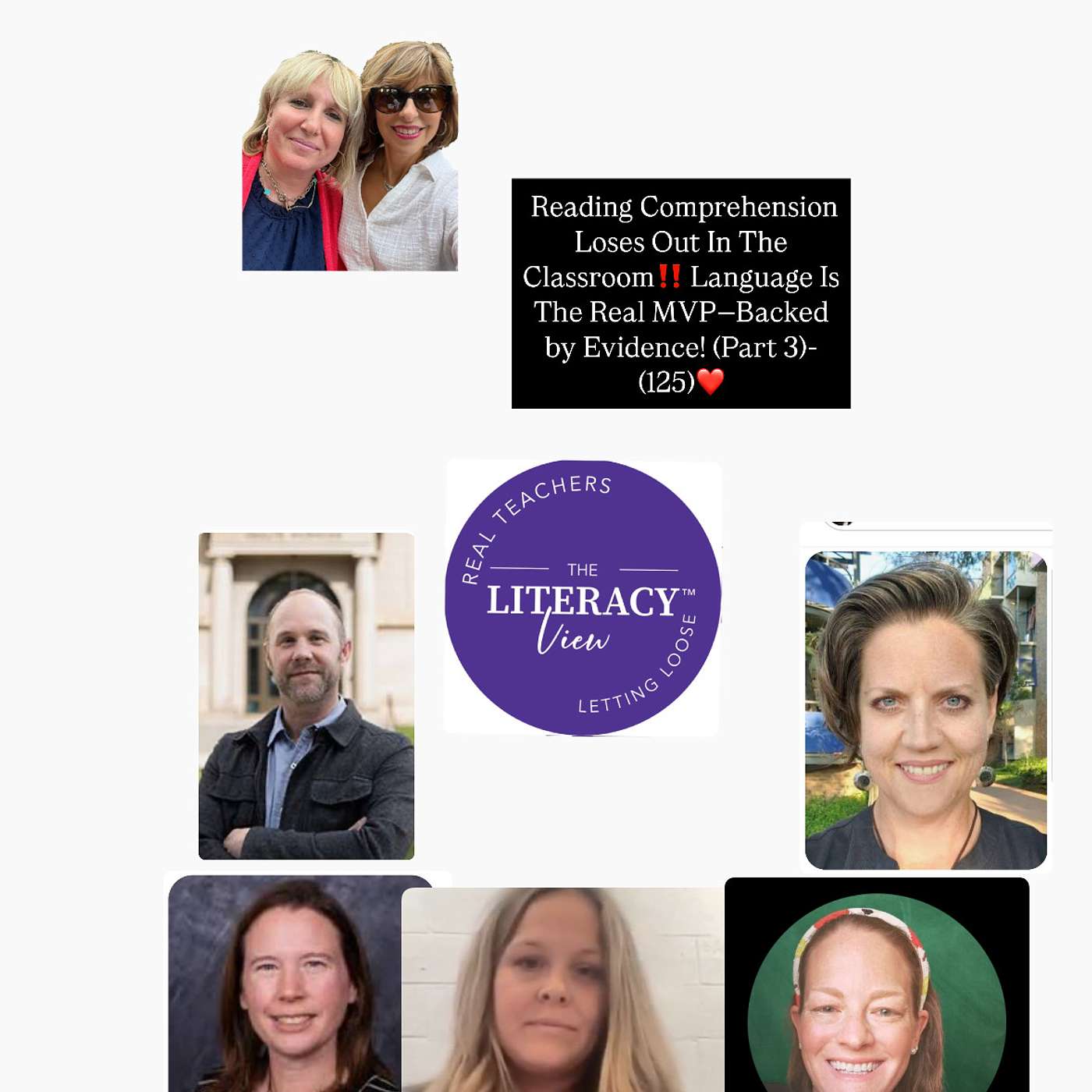 The Literacy View