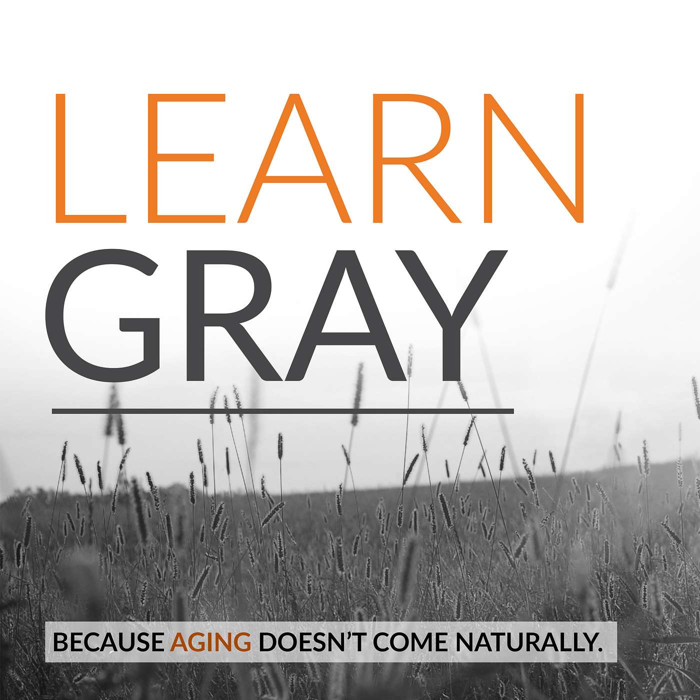 Learn Gray