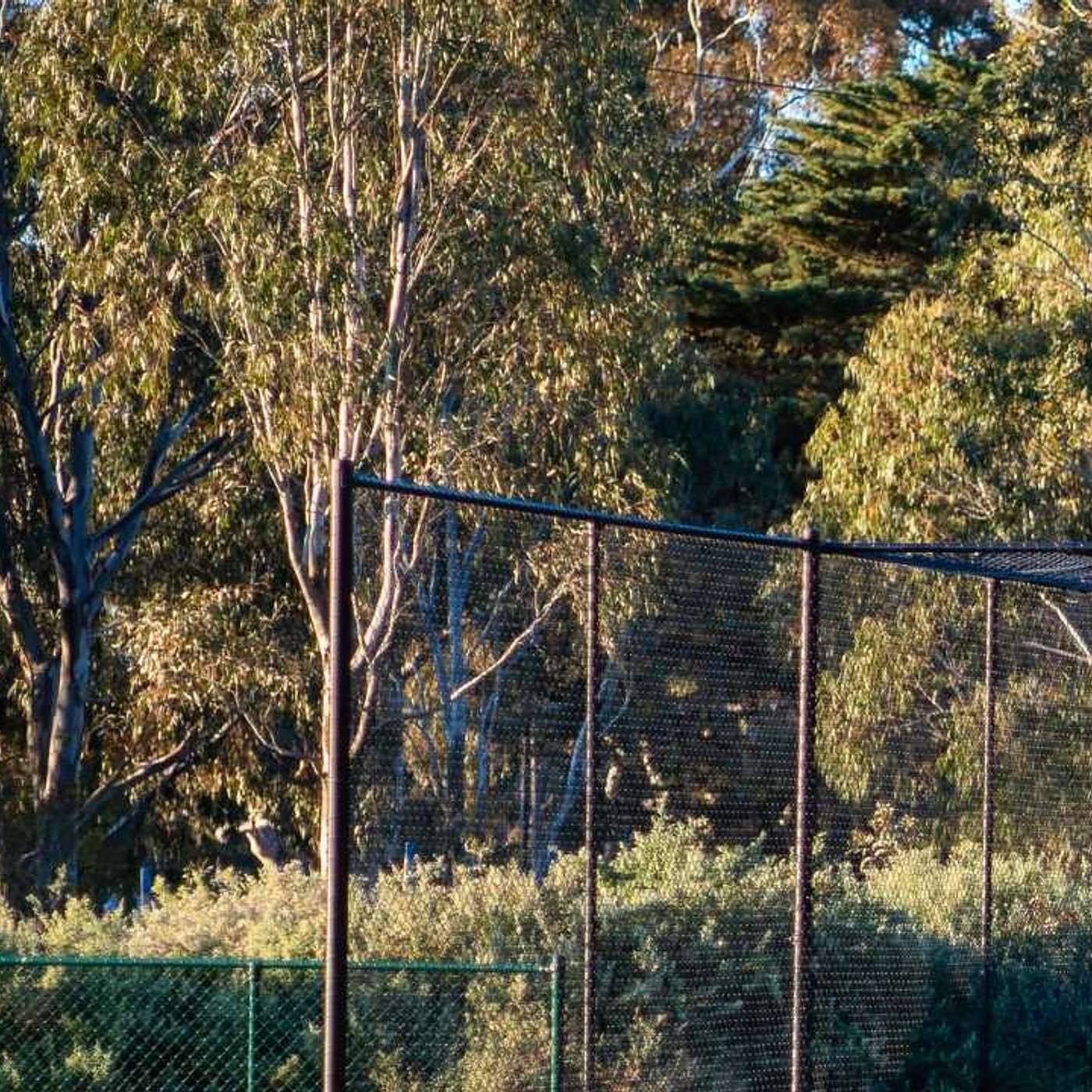 Hourly Cricket Net Booking Dubai: Your Ultimate Guide to Flexible Practice Sessions!