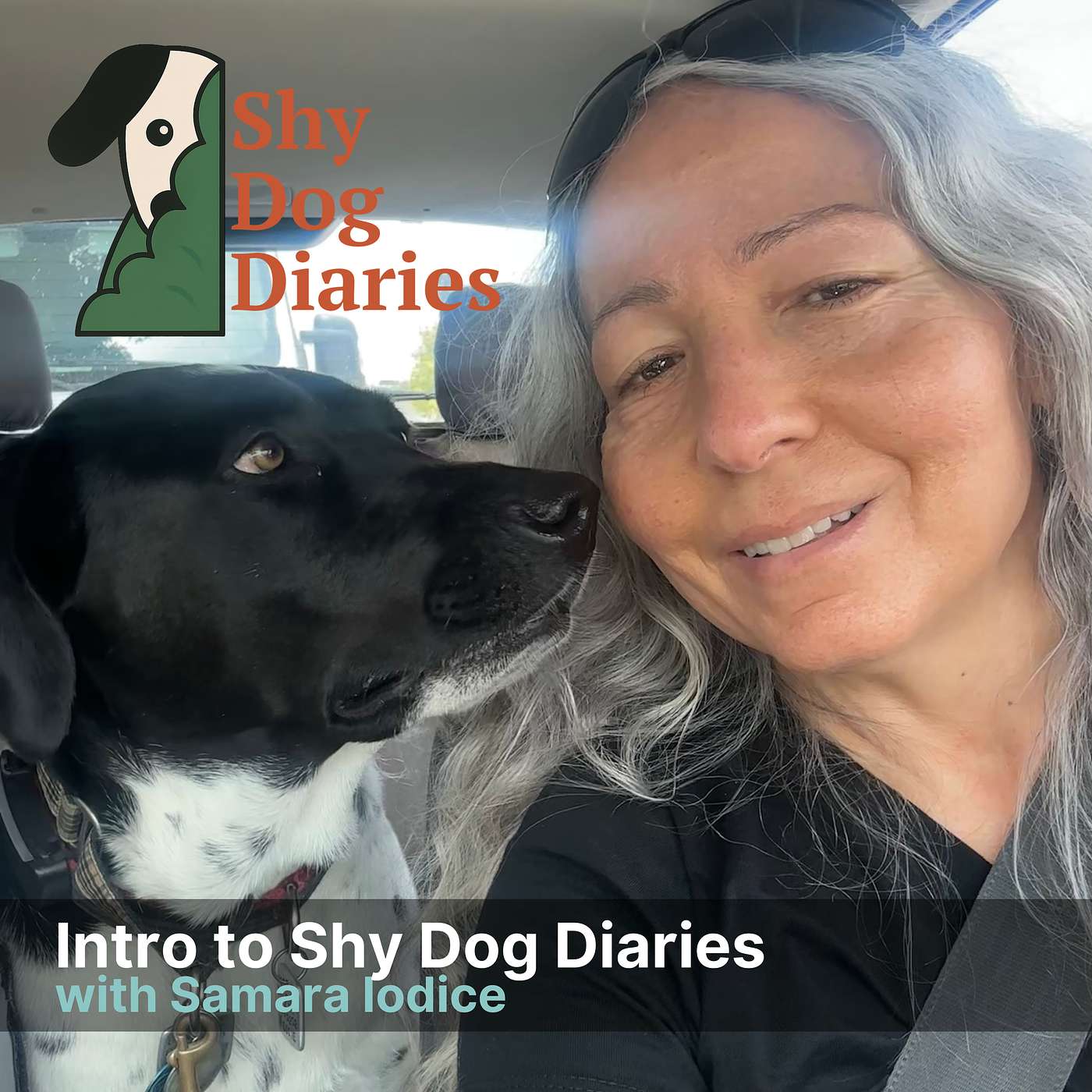 Intro to Shy Dog Diaries episode artwork