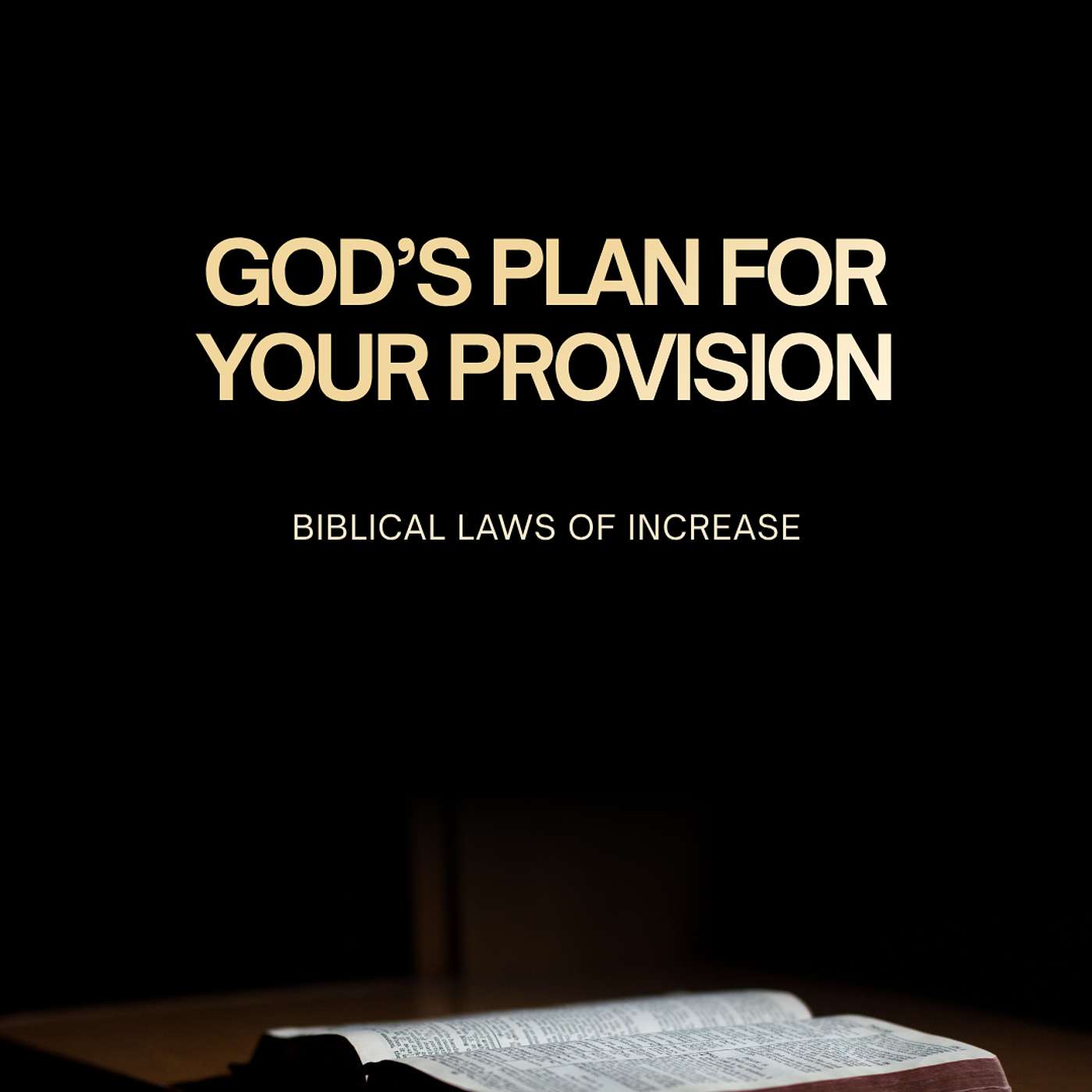 God’s Plan for your Provision: Biblical Laws of Increase | Topic: The Purpose of Prosperity Part 2 episode artwork