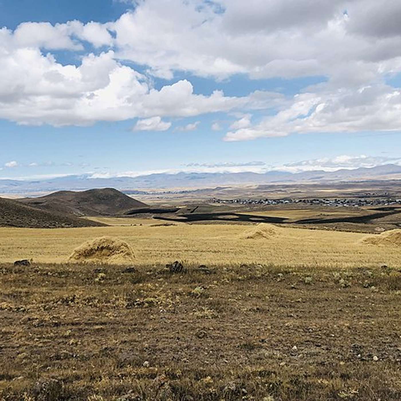 Michael Kortenbusch from Business and Finance Consulting on Agricultural Value Chain Finance Michael Kortenbusch from Business and Finance Consulting on Agricultural Value Chain Finance