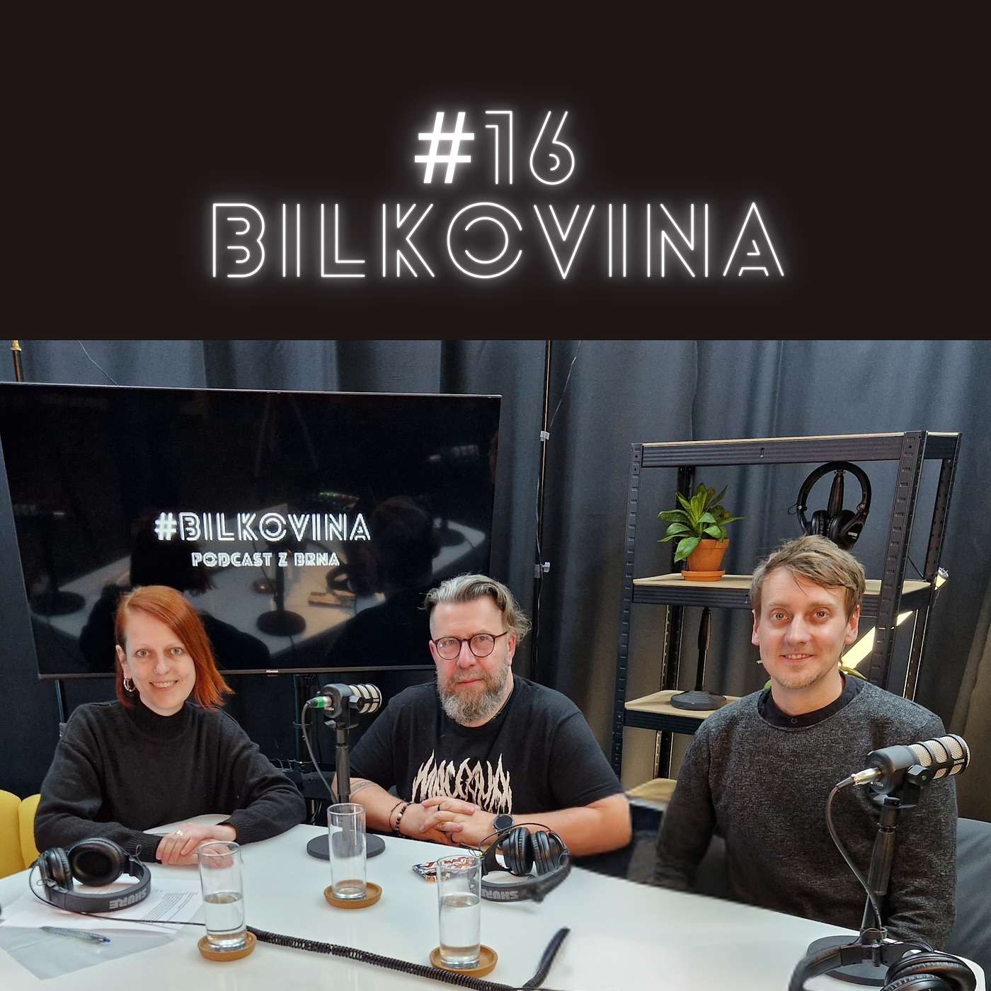 Bílkovina