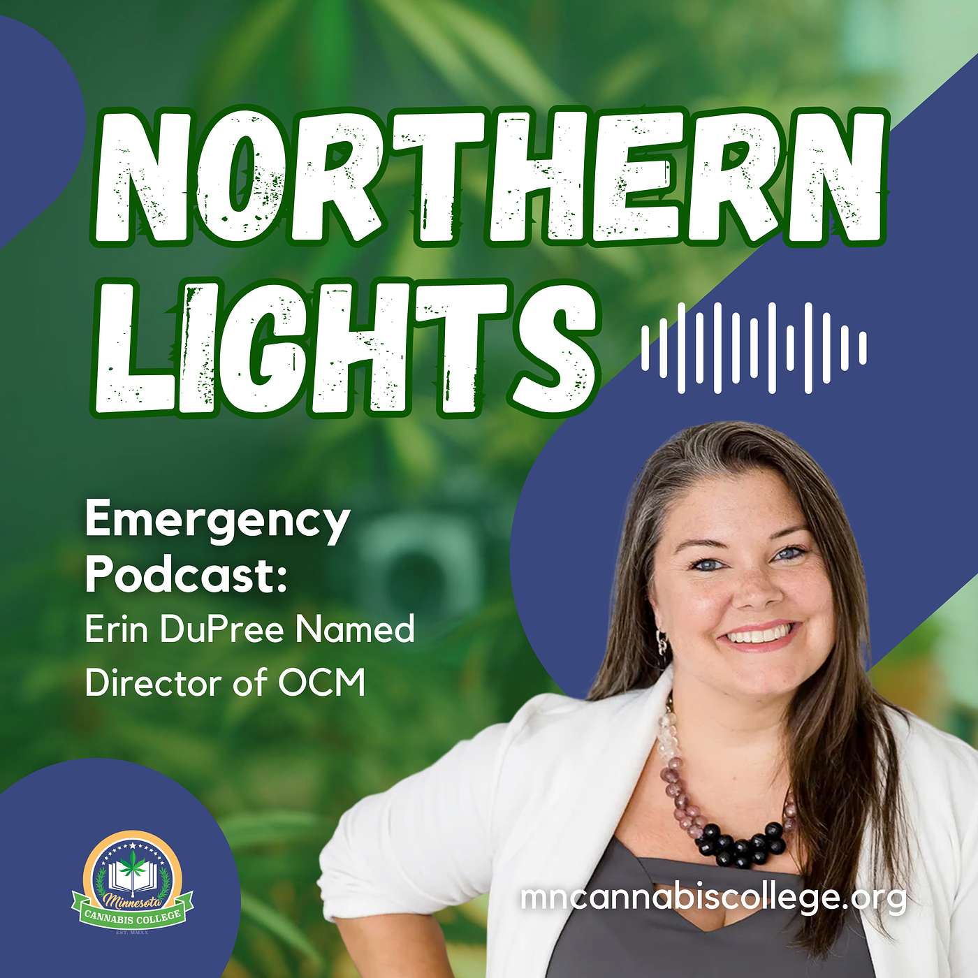 Northern Lights
