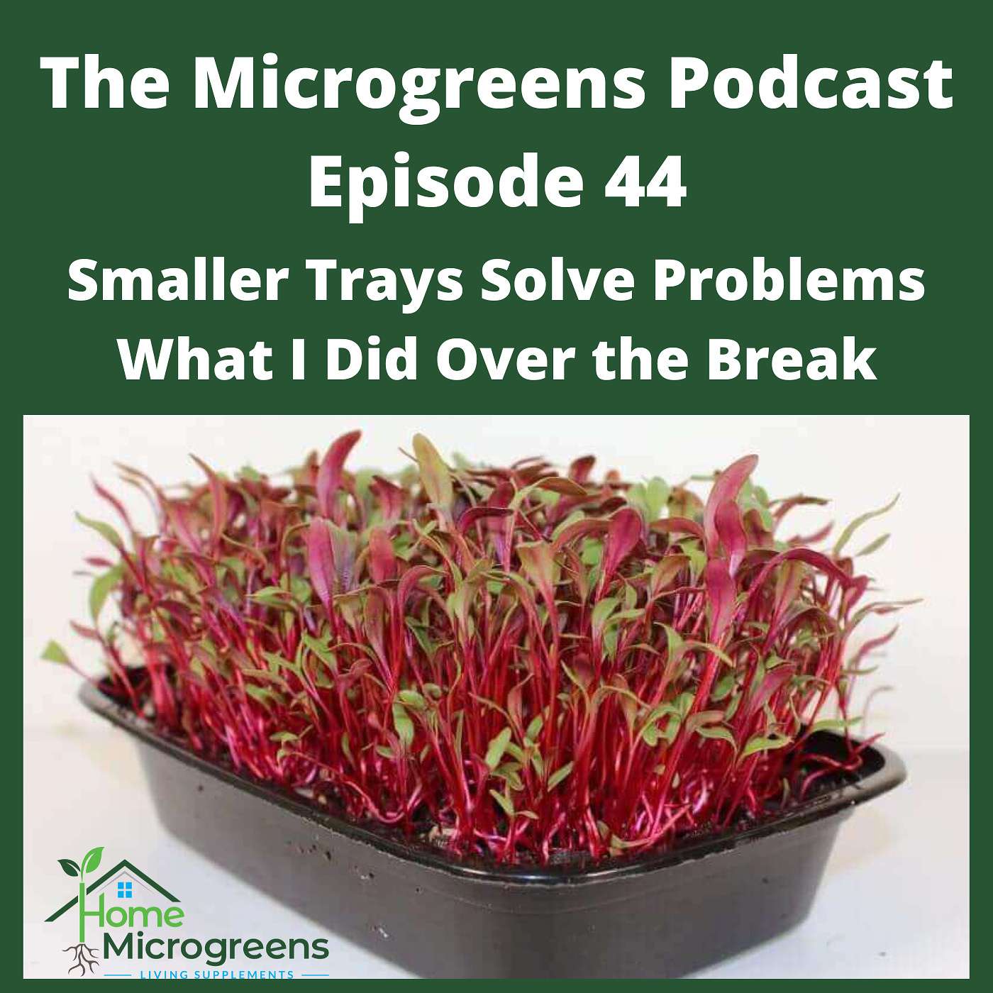 Smaller Trays Solve Problems