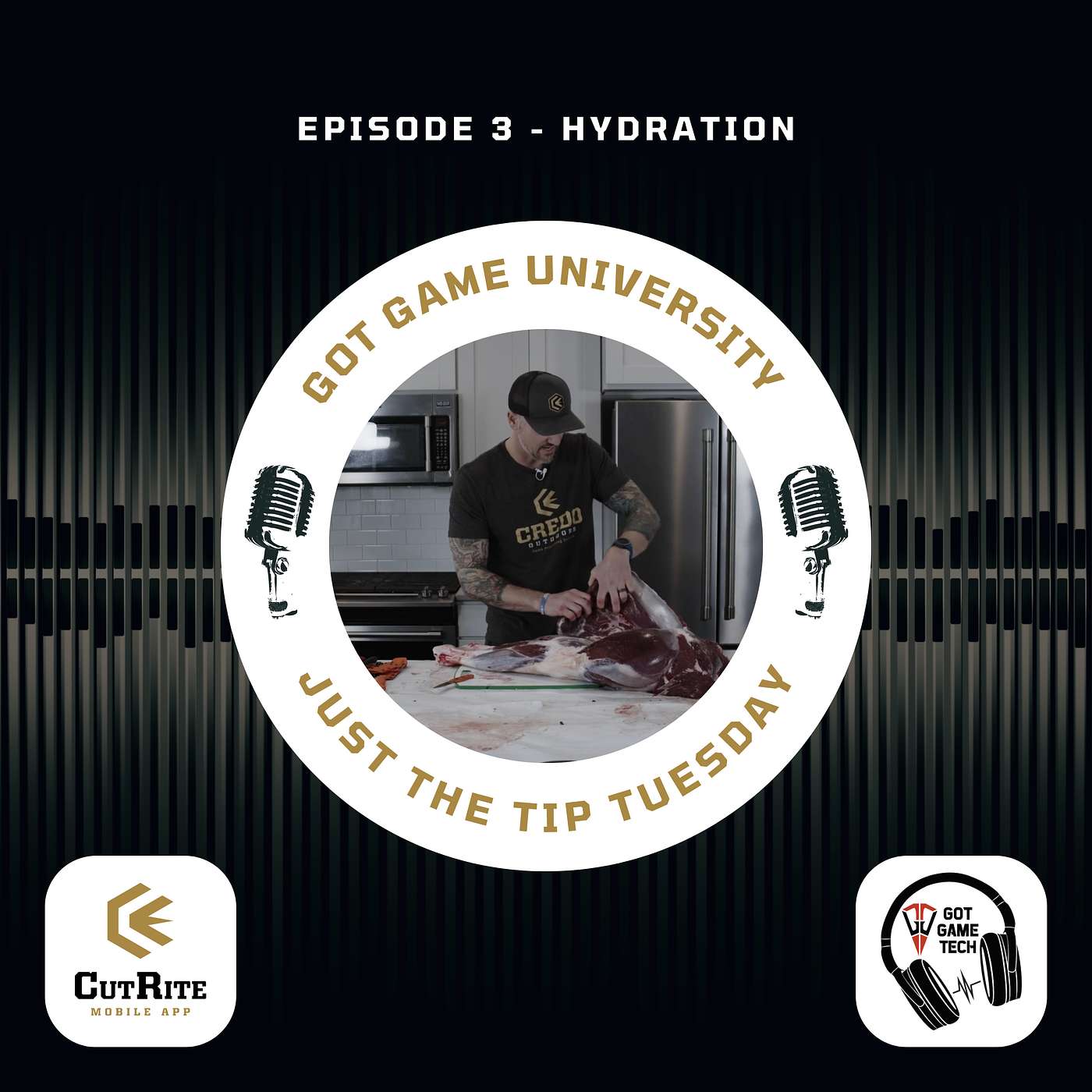 Episode 35 - Just the Tip Tuesday (J3T) - Hydration