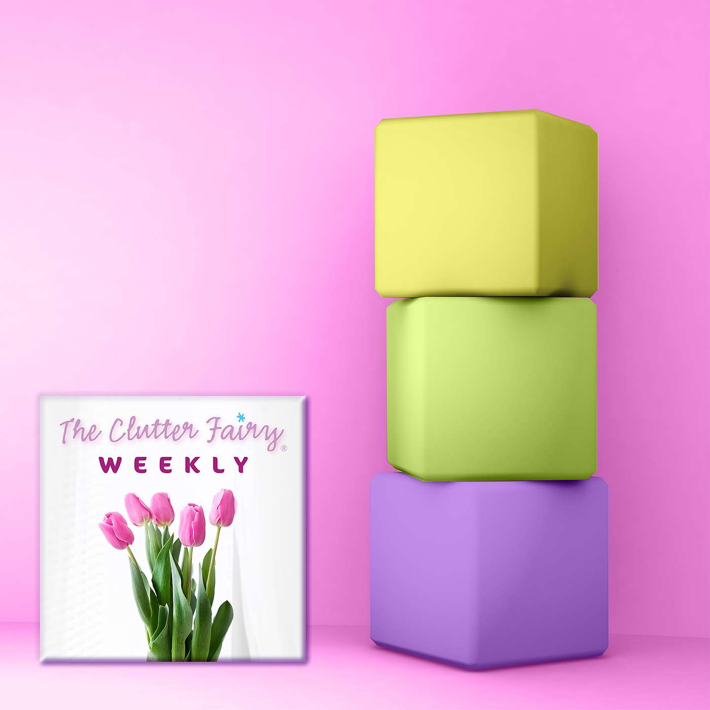 The Clutter Fairy Weekly #72 - Back to the Basics: A Clutter Fairy Recap of Organizing Fundamentals