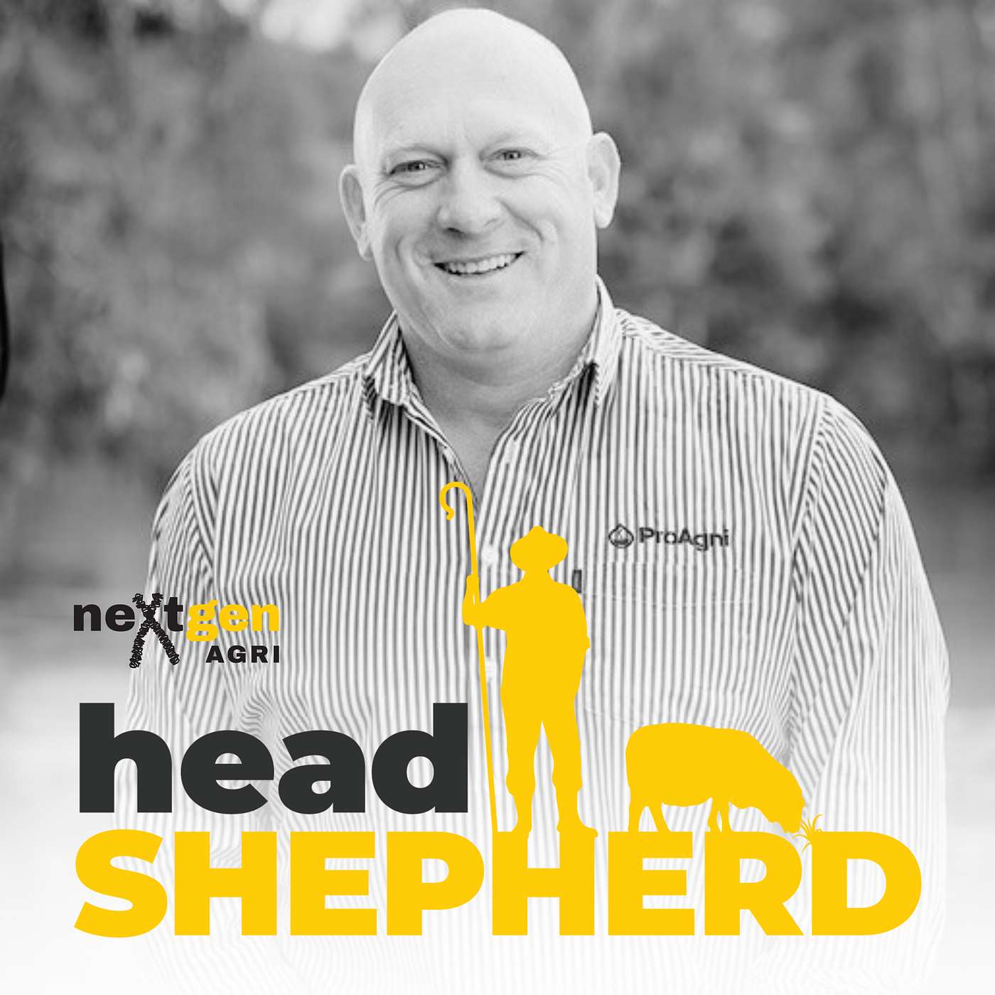 Head Shepherd
