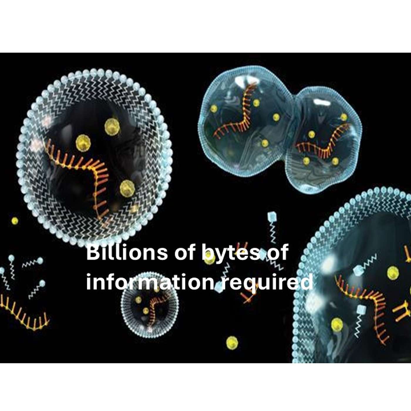 The Conspiracy of Life