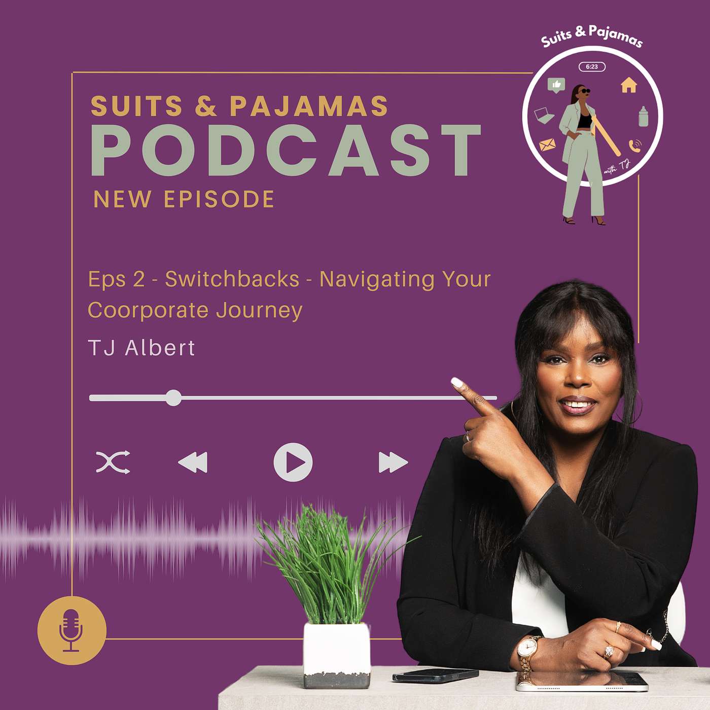 Switchbacks - Navigating Your Corporate Journey