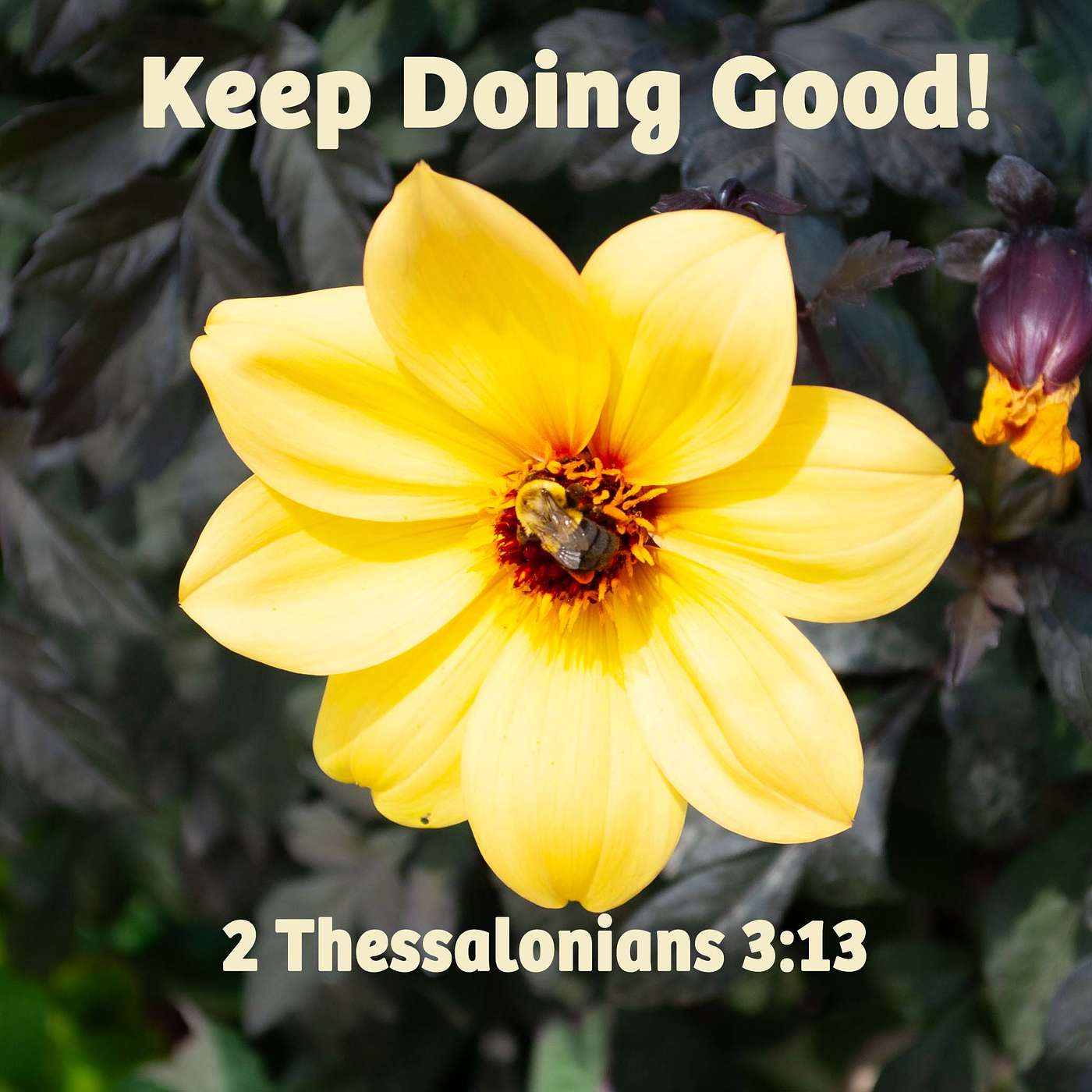 You Are Doing Good and Keep Doing Good!