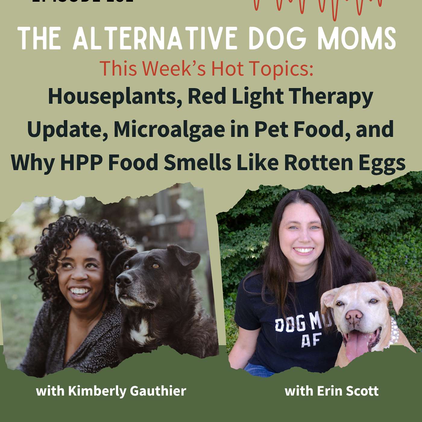 Hot Topics: Houseplants, Red Light Therapy Update, Microalgae in Pet Food, and Why HPP Food Smells Like Rotten Eggs
