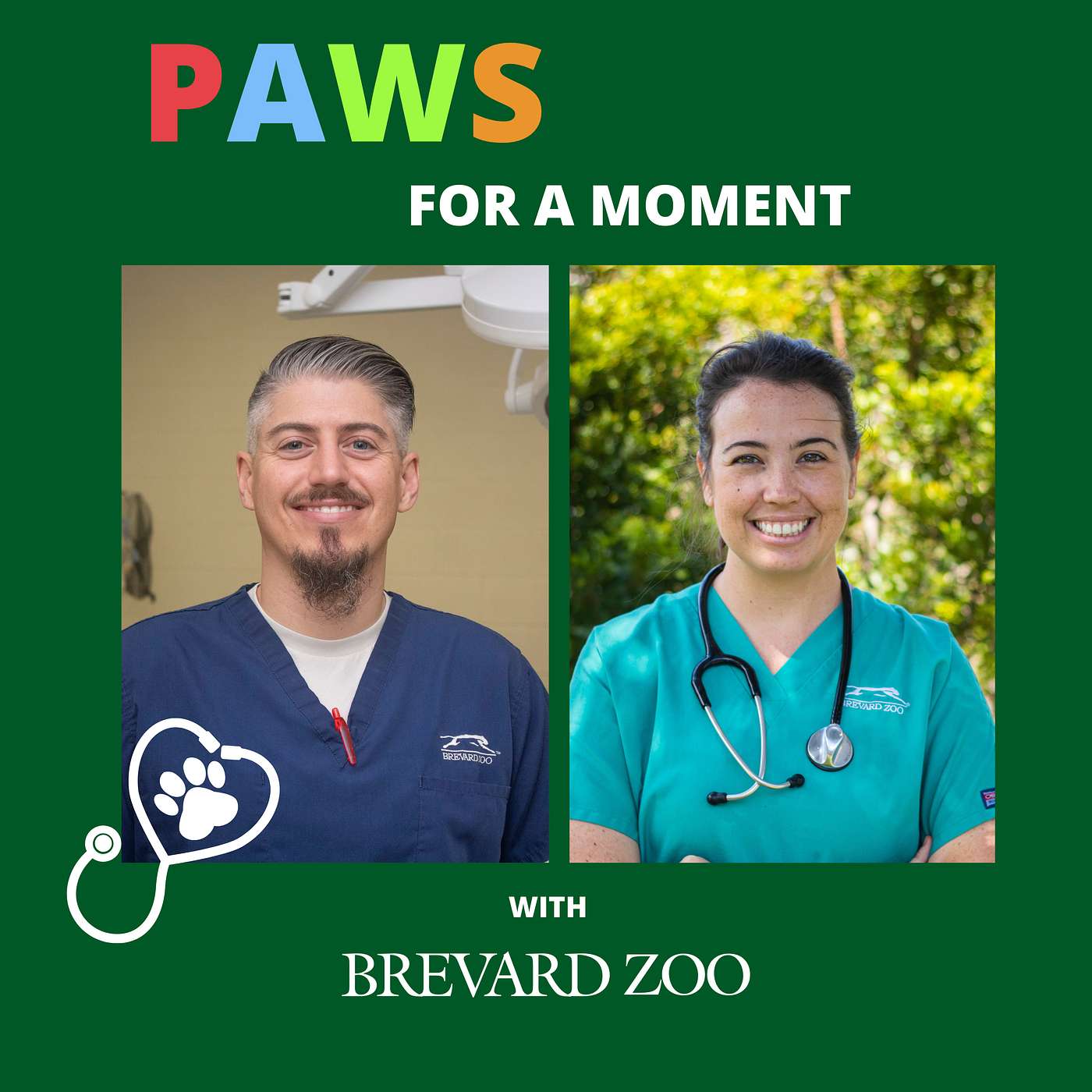 Paws for a Moment