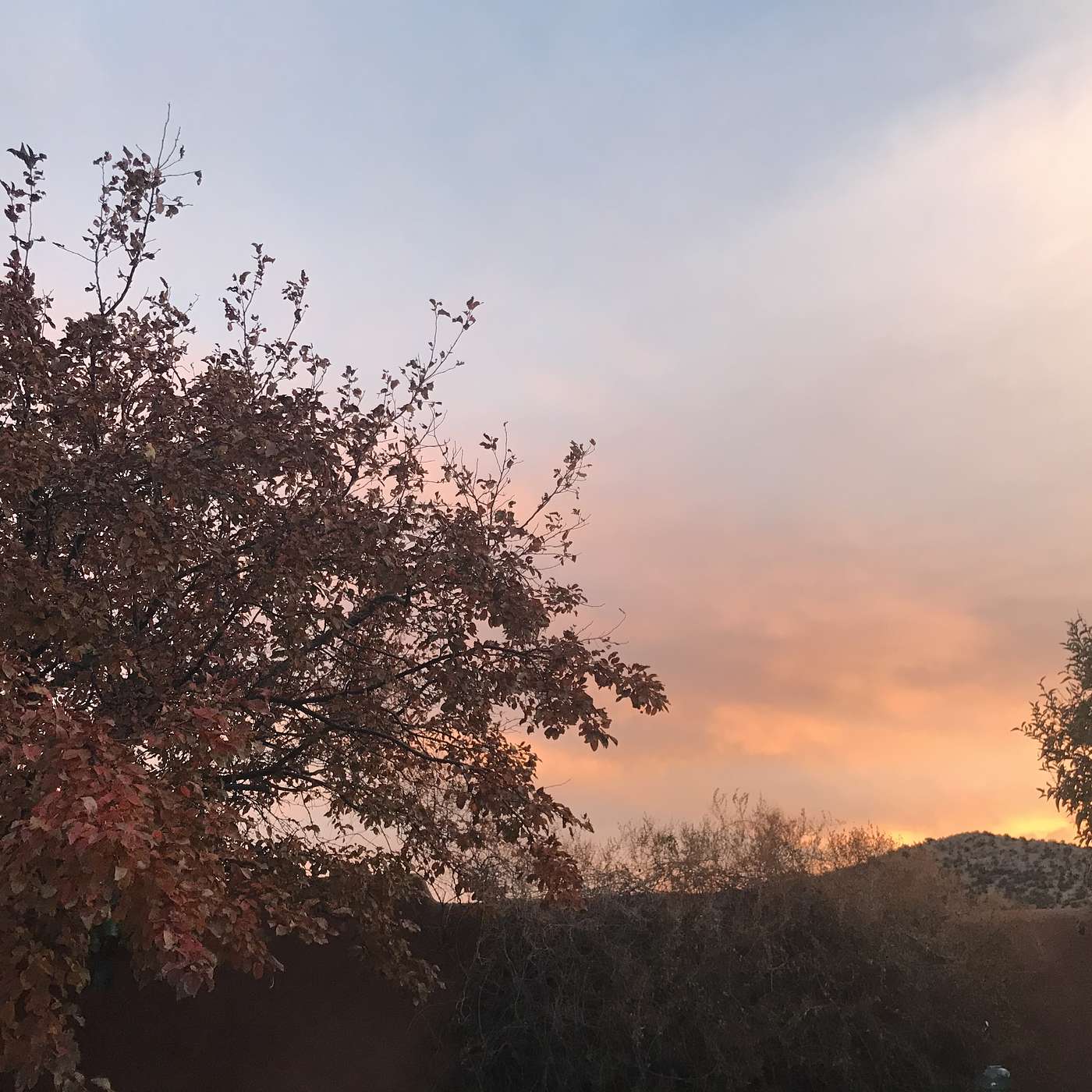 First Cup of Coffee - November 6, 2018