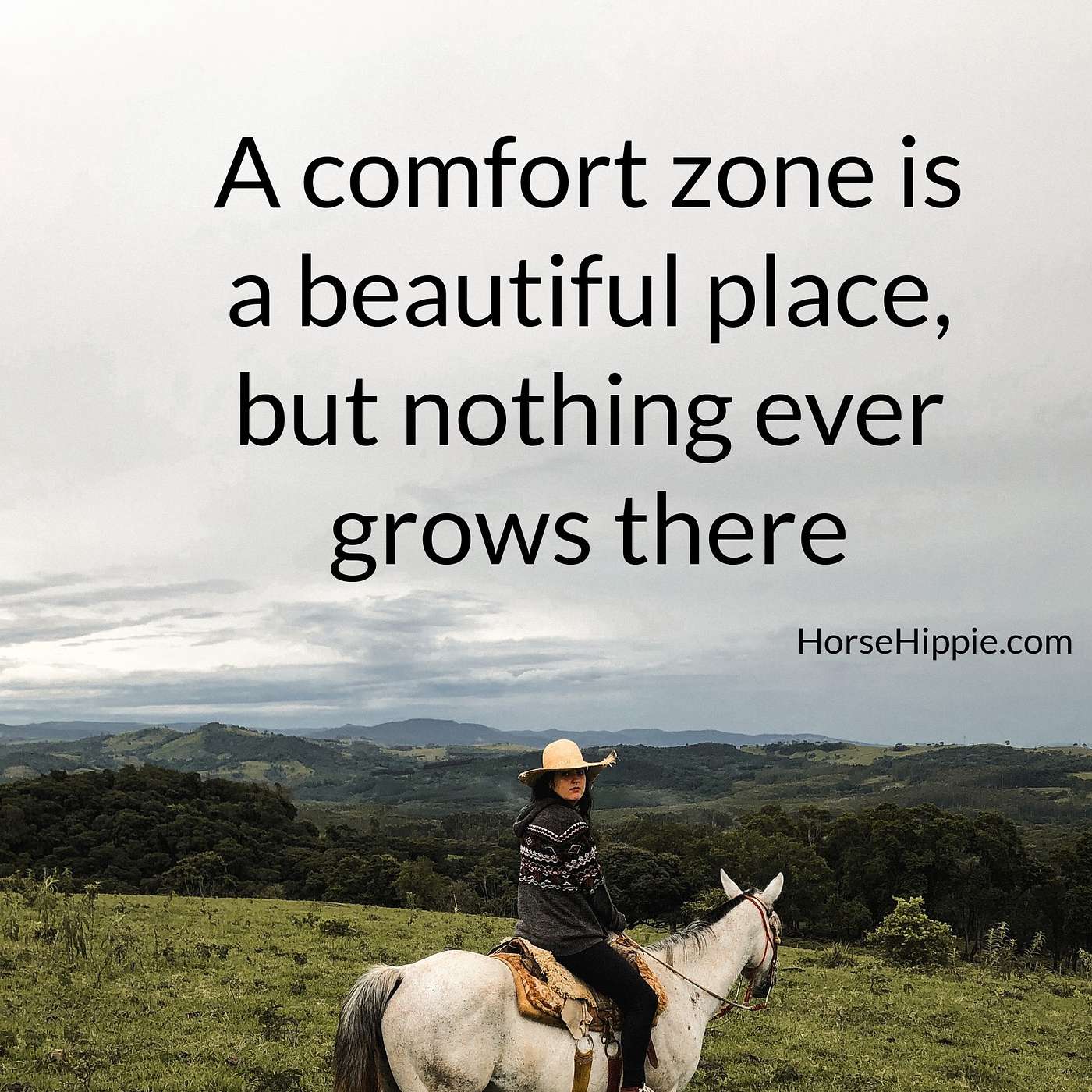 To Grow You Must Leave Your Comfort Zone