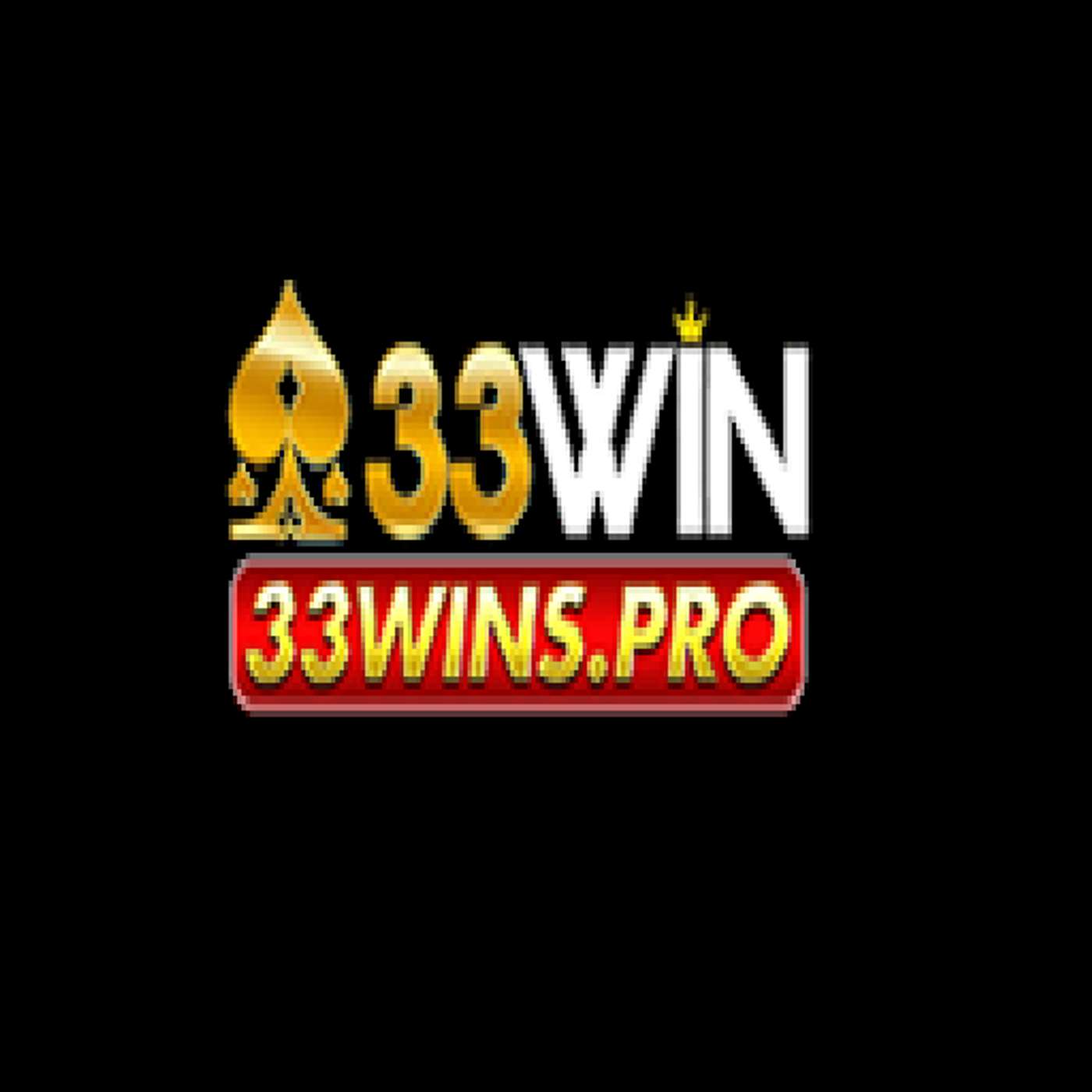33wins--pro