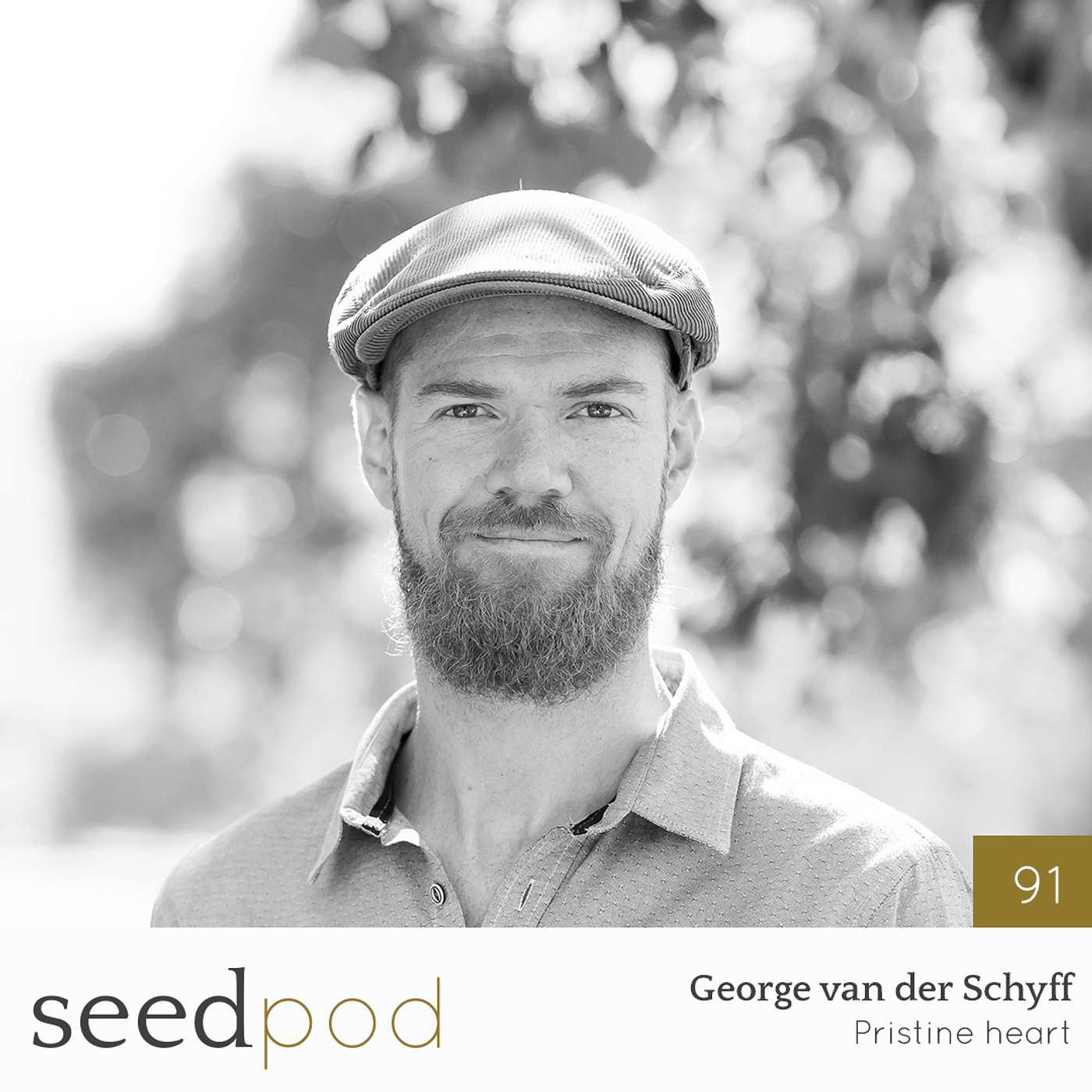 Seedpod