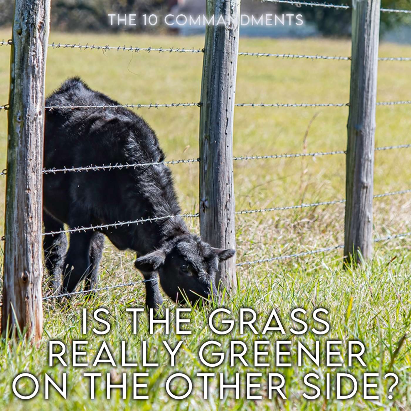 Season 4 Episode 261 - the 10 Commandments - Is the Grass really greener on the other Side?