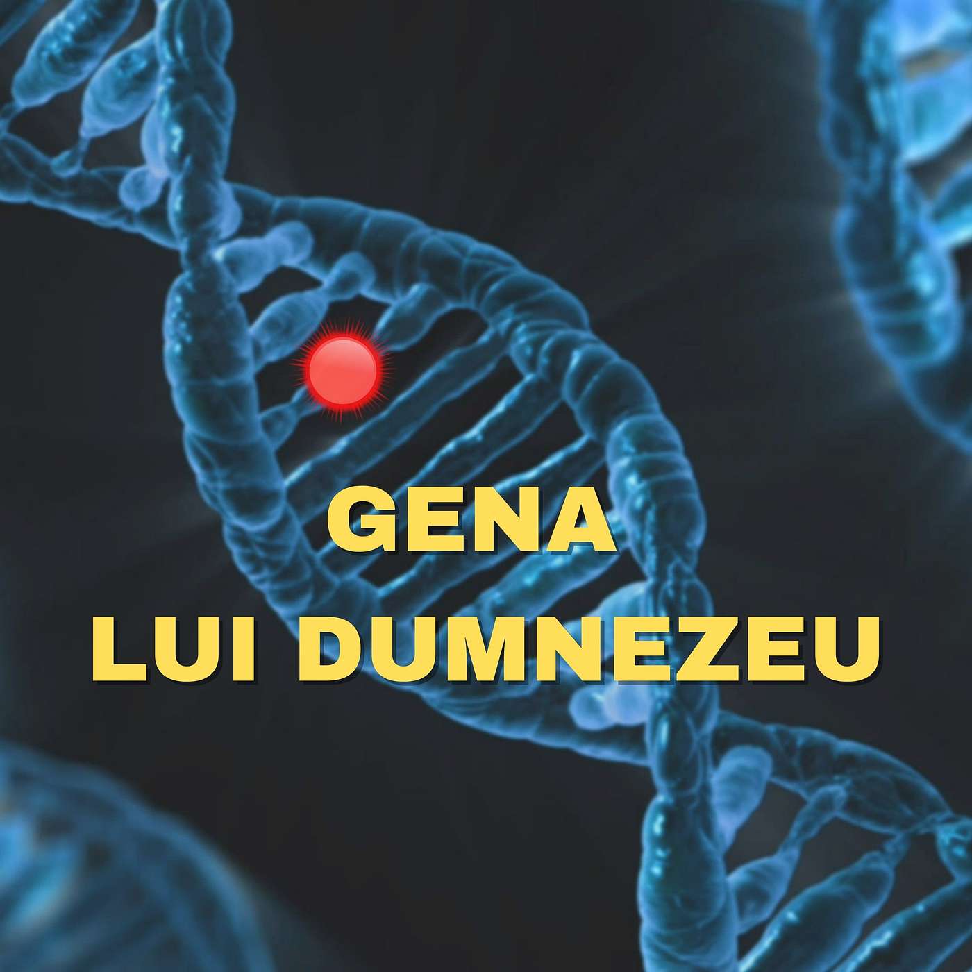 Sursa de Motivație Zilnică