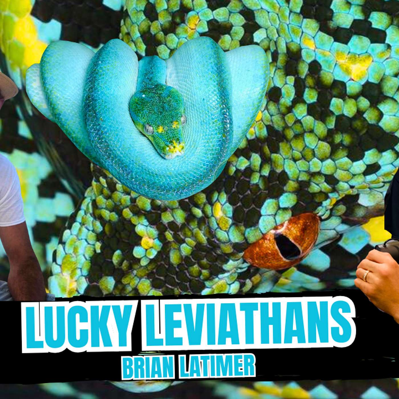 Why Breeder Loans Can Be A BAD IDEA... Things You May Consider | All In The Trees (Live)