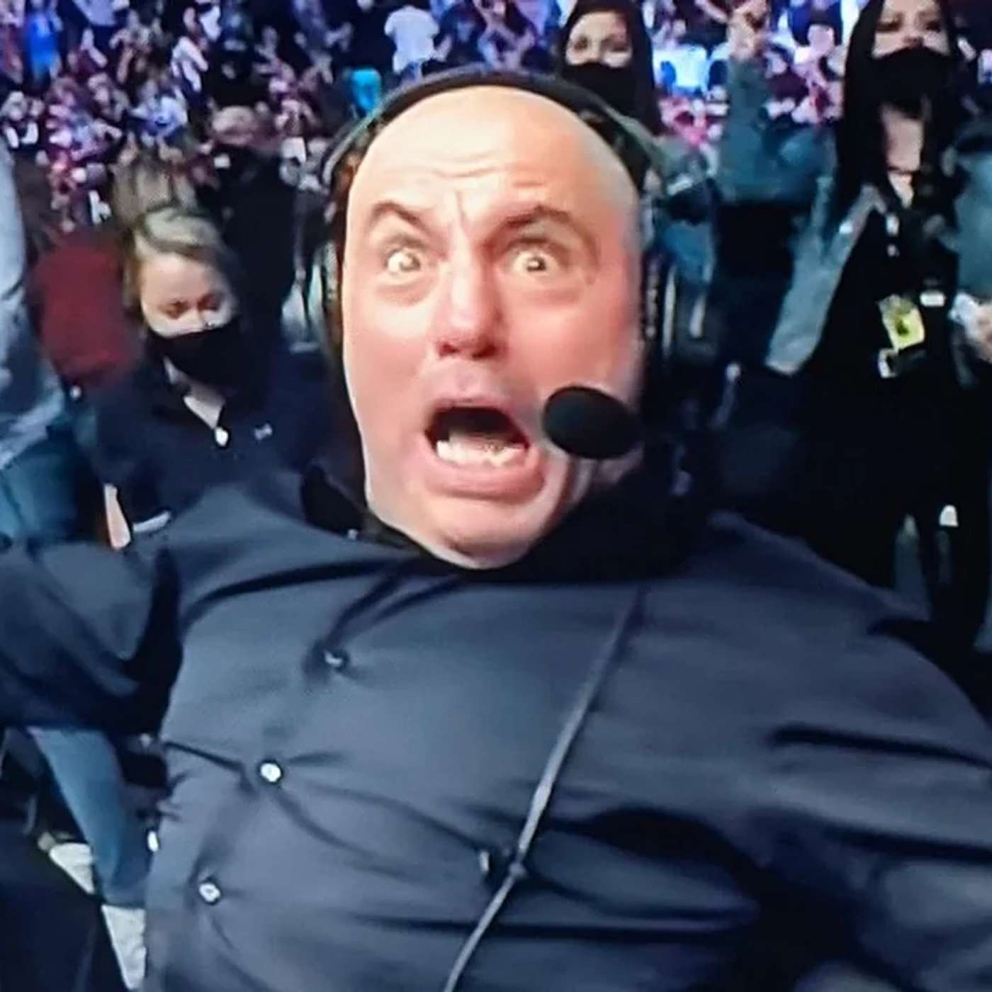 SHUT UP JOE ROGAN! YOU DON’T EVEN GO HERE! episode artwork