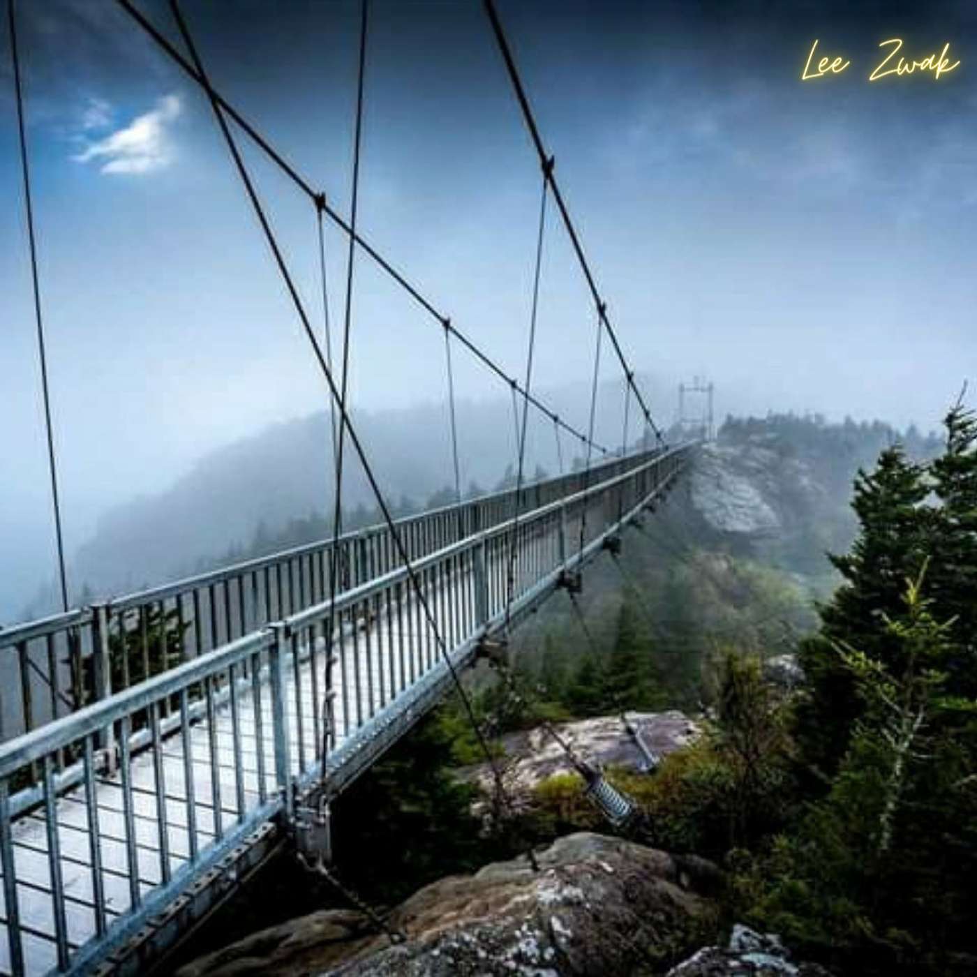Bridge to Better