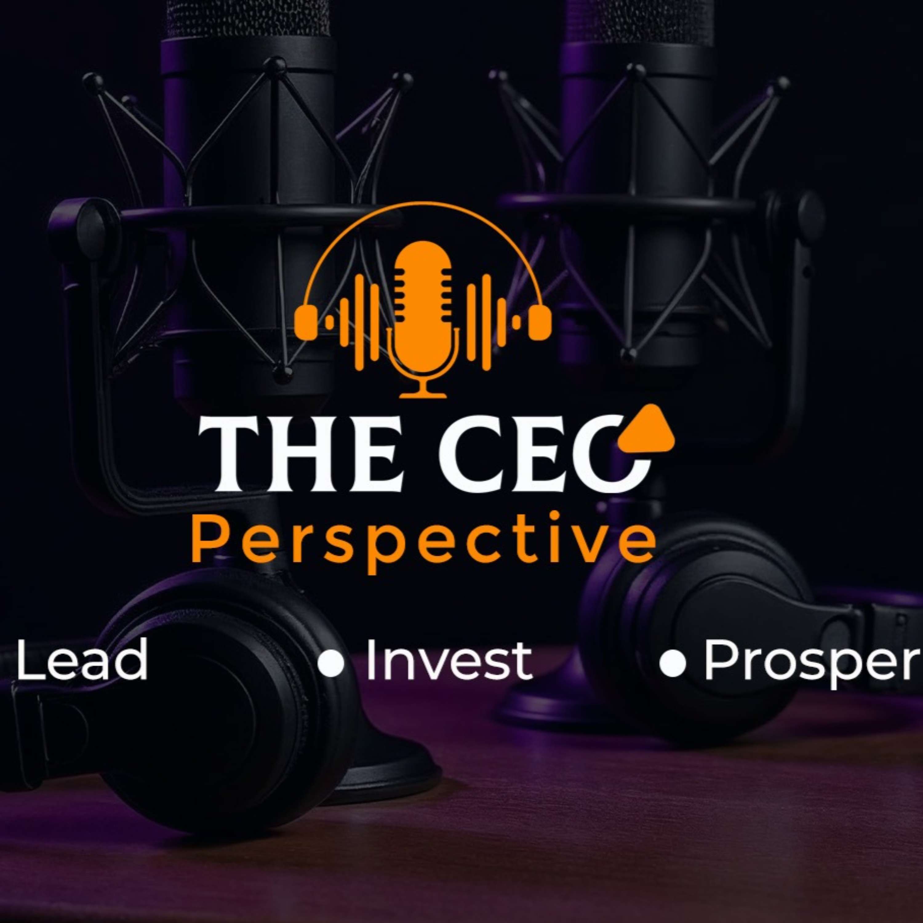THE CEO PERSPECTIVE PODCAST