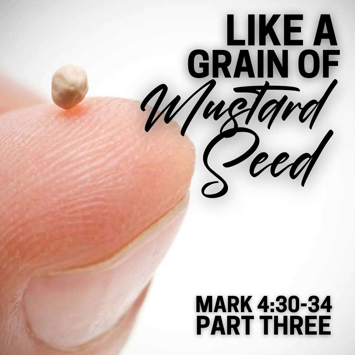 It Is Like a Grain of Mustard Seed, Part 3; Mark 4:30-34