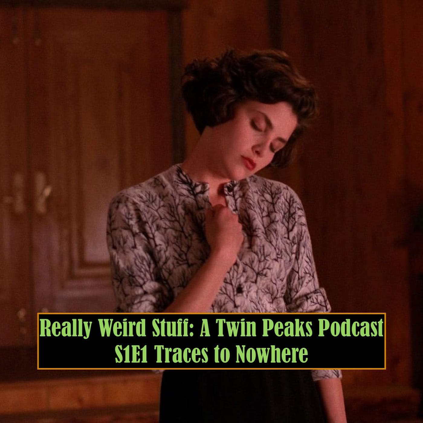 Really Weird Stuff: A Twin Peaks Podcast