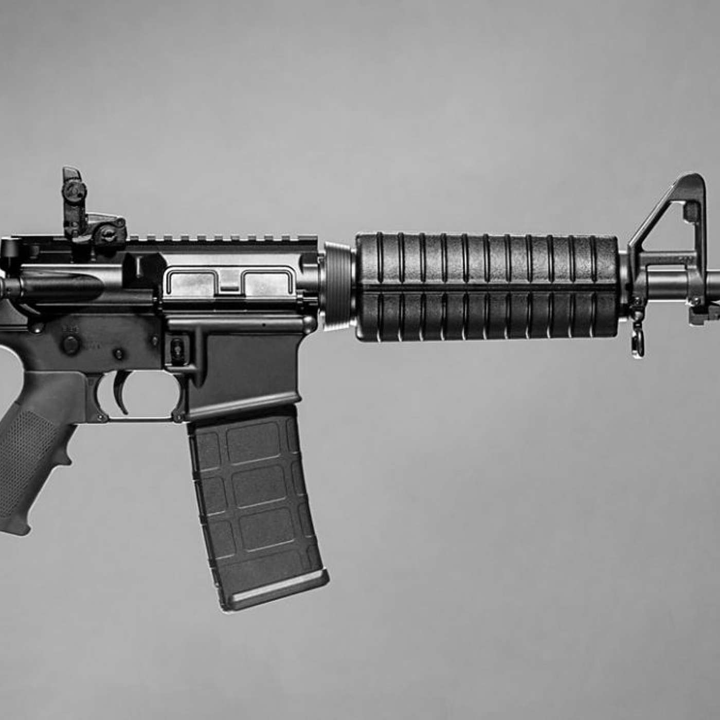 "DARN THAT PESKY MILITIA!!" "DARN THAT PESKY MILITIA!!"