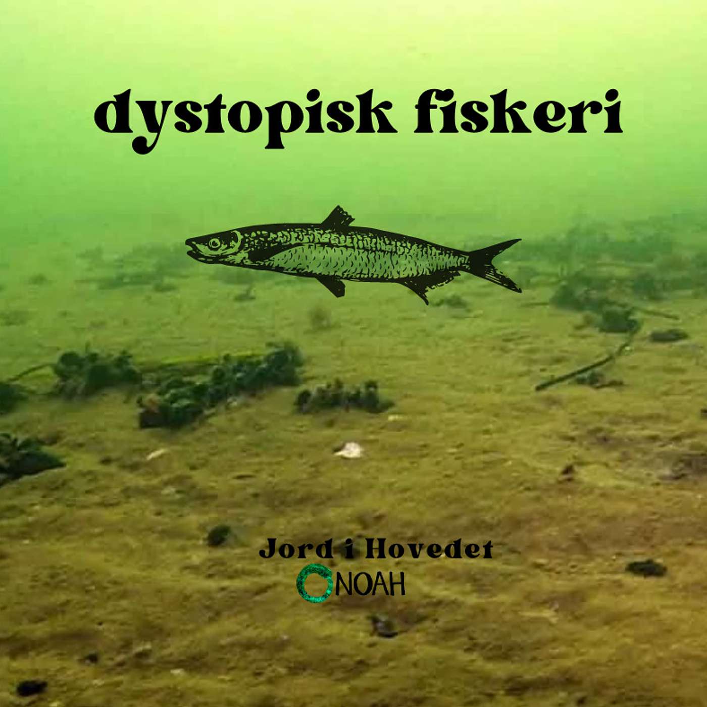 Jord i Hovedet