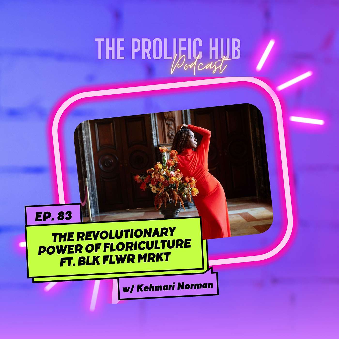The Prolific Hub Podcast