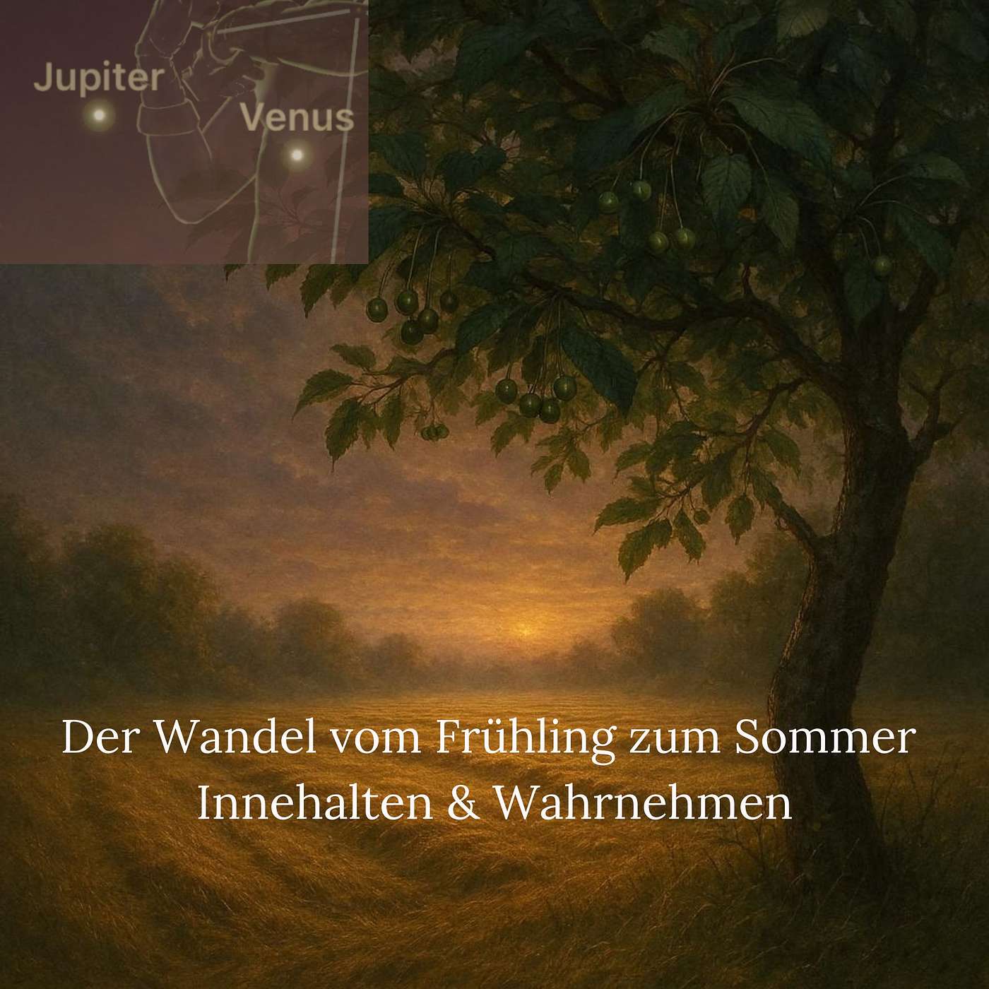 Der Wandel vom Frühling zum Sommer – Innehalten & Wahrnehmen episode artwork